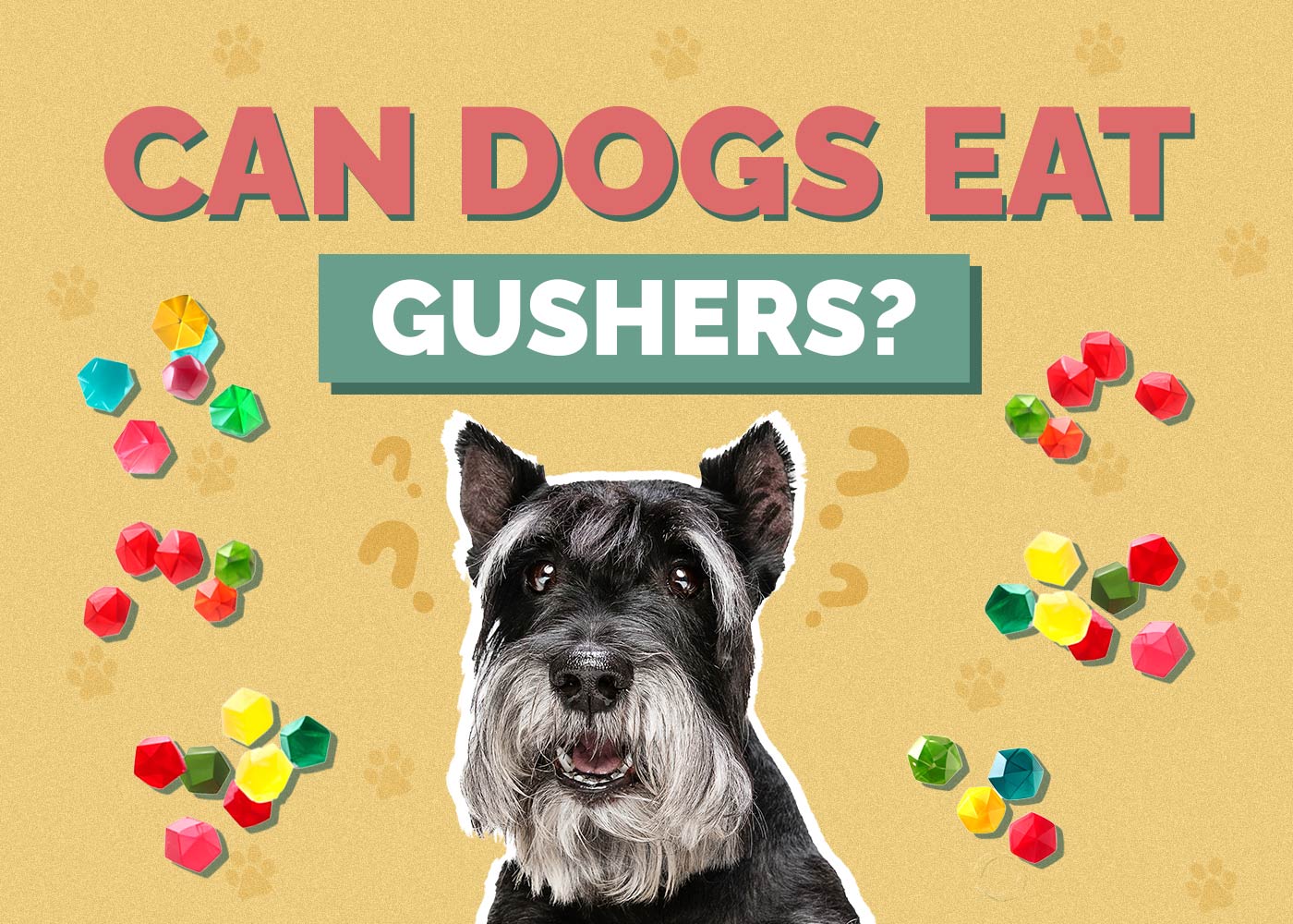 Can Dogs Eat Gushers? Vet-Reviewed Health Concerns