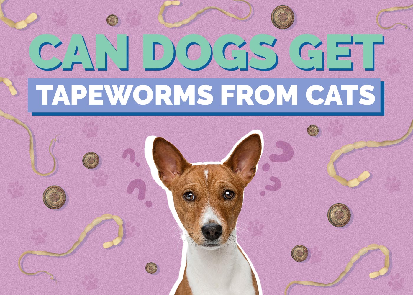Can Dogs Get Tapeworms from Cats? Vet-Approved Pet Health Facts