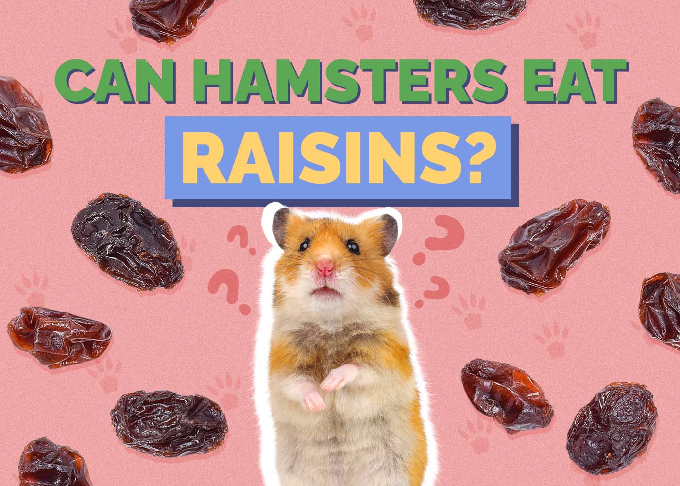 Can Hamsters Eat Raisins? Vet-Reviewed Facts & FAQ