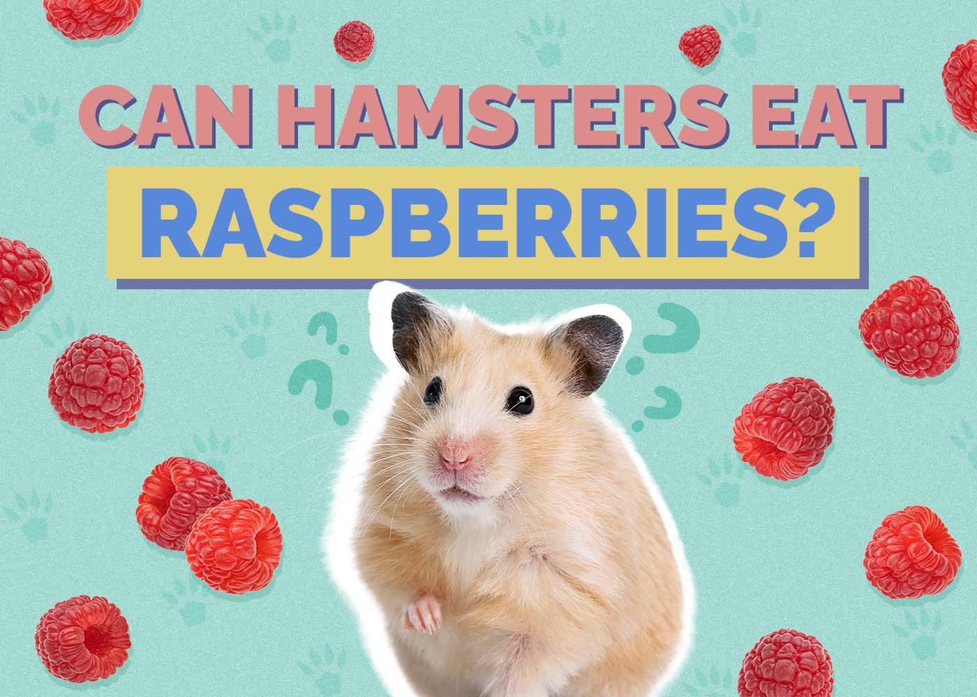 Can Hamsters Eat Raspberries? Vet-Verified Benefits & Risks
