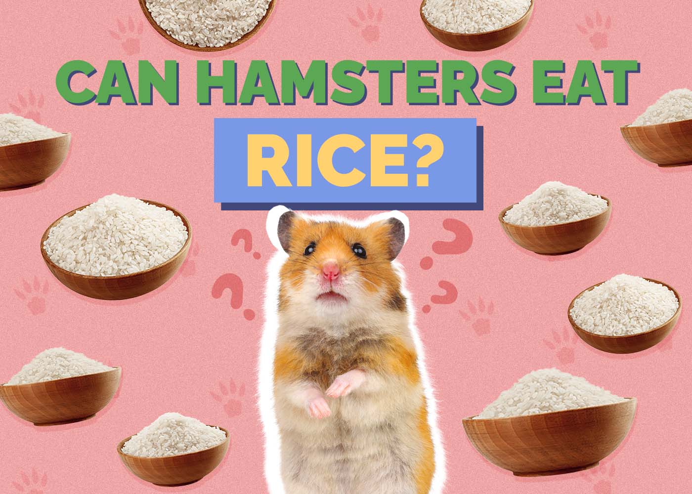 Can Hamsters Eat Rice? Vet Approved Facts & FAQ