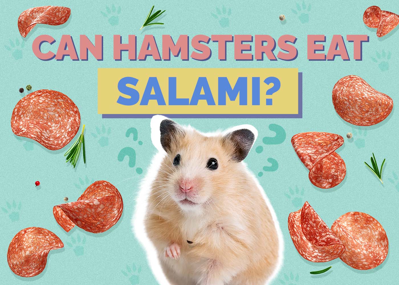 Can Hamsters Eat Salami? Vet-Reviewed Facts & FAQ