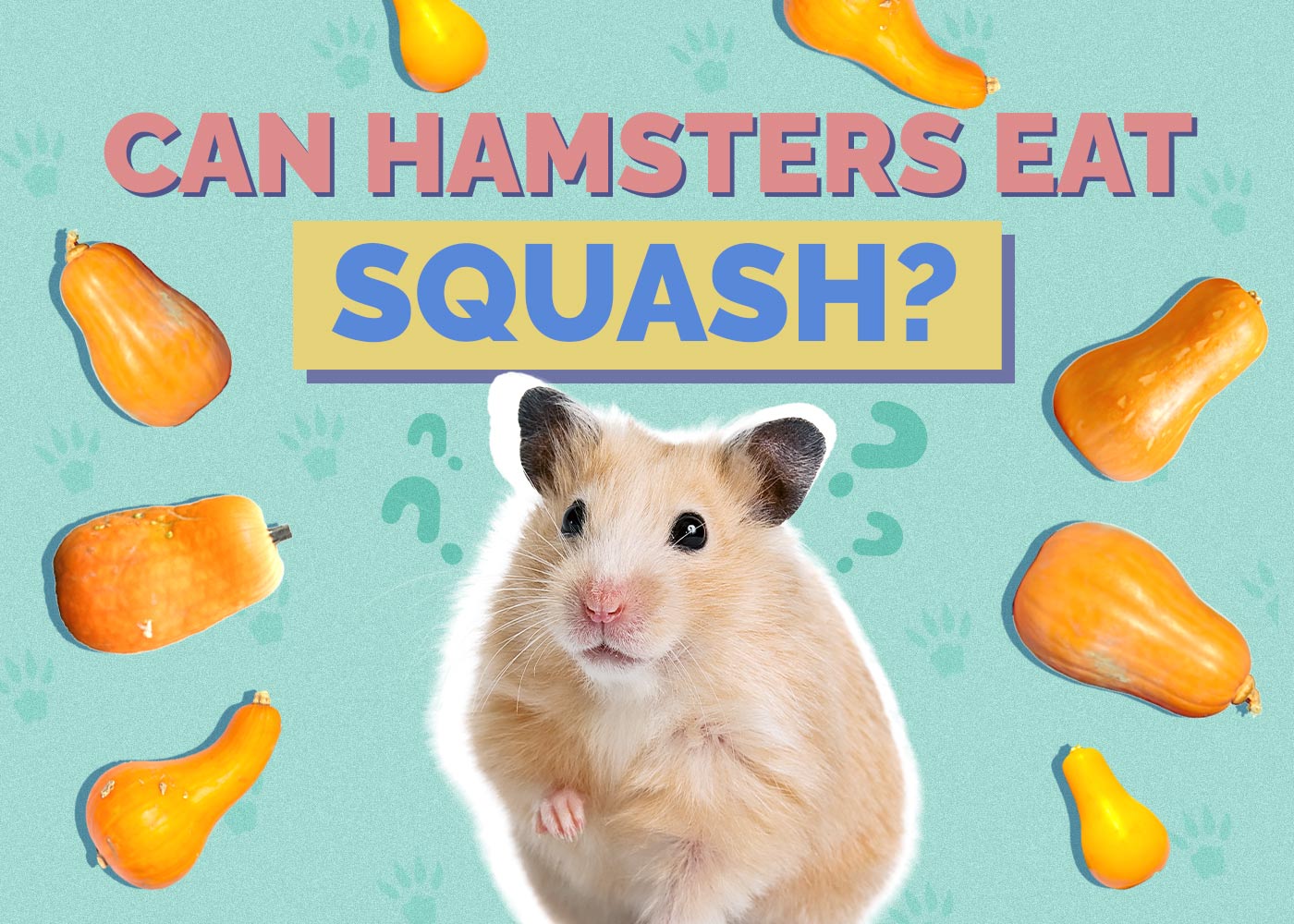 Can Hamsters Eat Squash? Vet-Approved Nutrition Guide