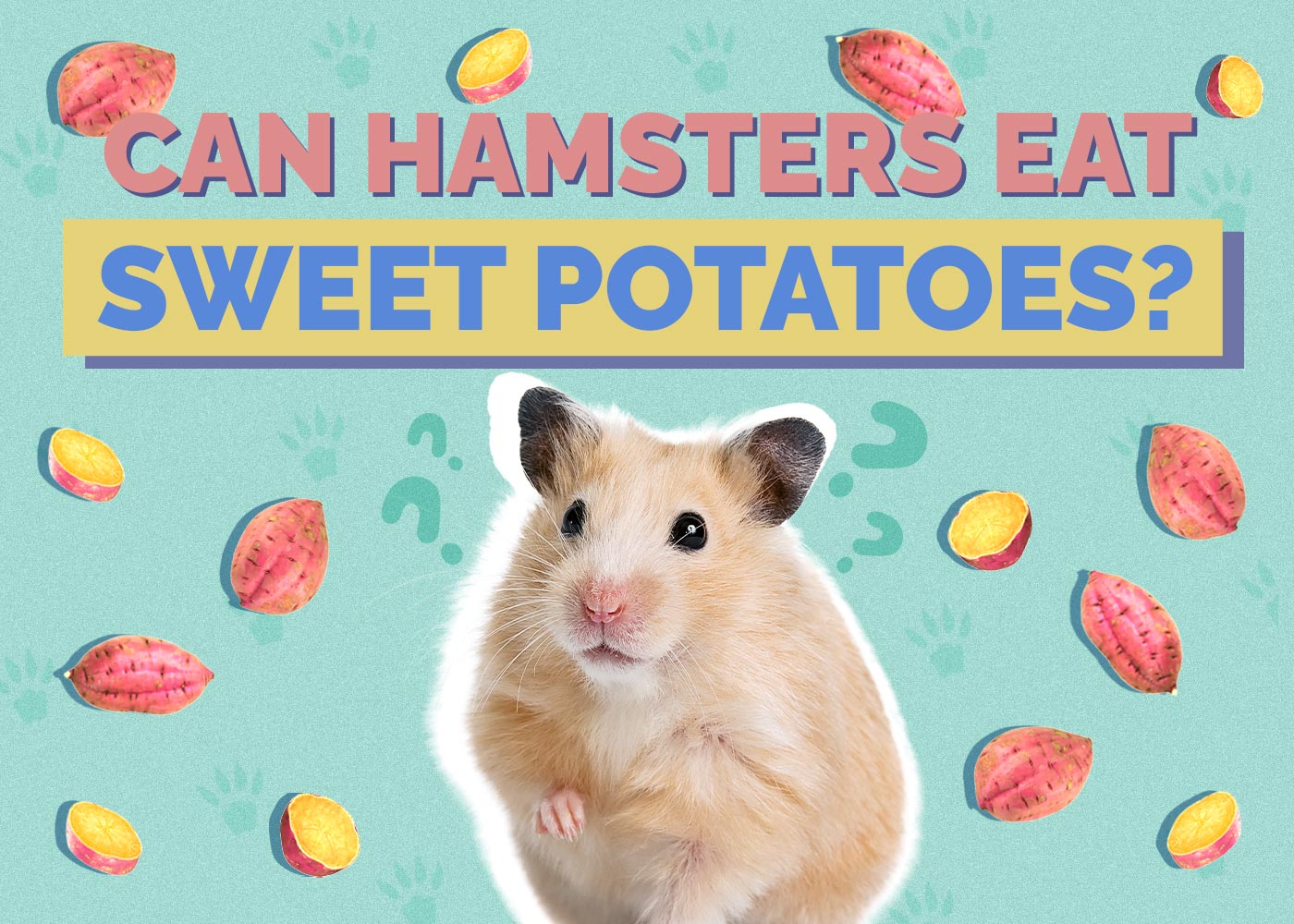 Can Hamsters Eat Sweet Potatoes? Vet Approved Nutrition Guide