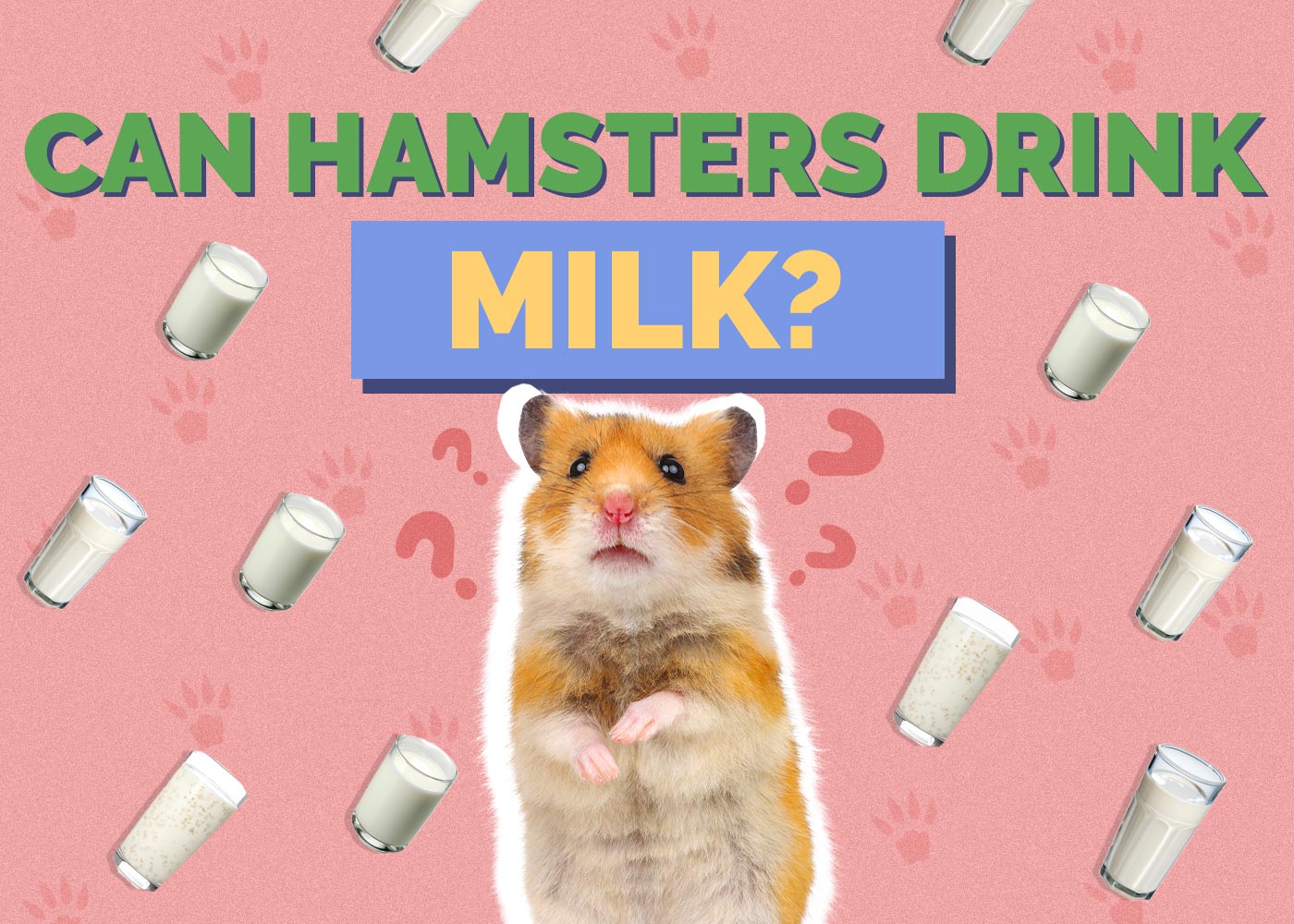 Can Hamsters Drink Milk? Vet Approved Facts & Safety Guide