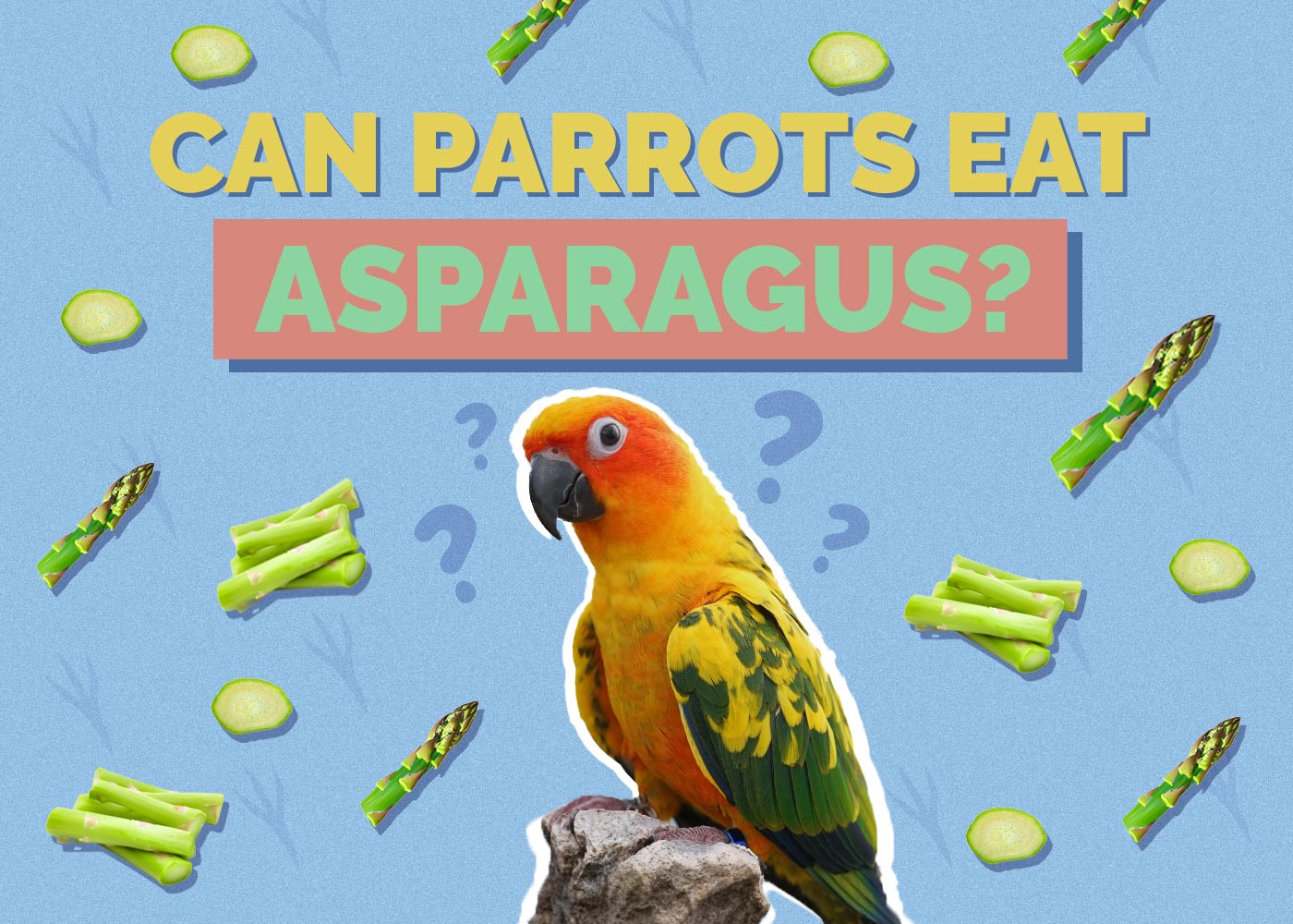 Can Parrots Eat Asparagus? Vet-Reviewed Nutrition Guide