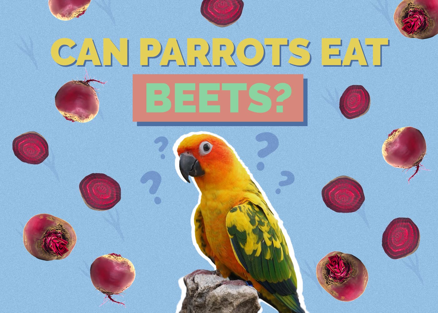Can Parrots Eat Beets? Vet-Approved Nutrition Guide