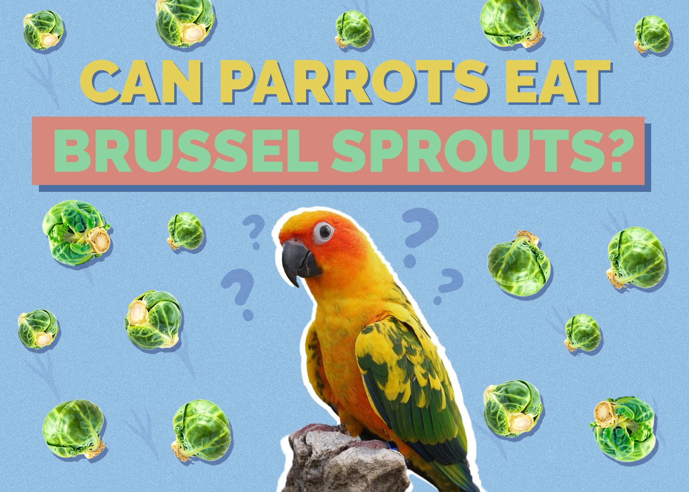 Can Parrots Eat Brussels Sprouts? Vet-Reviewed Nutrition Guide