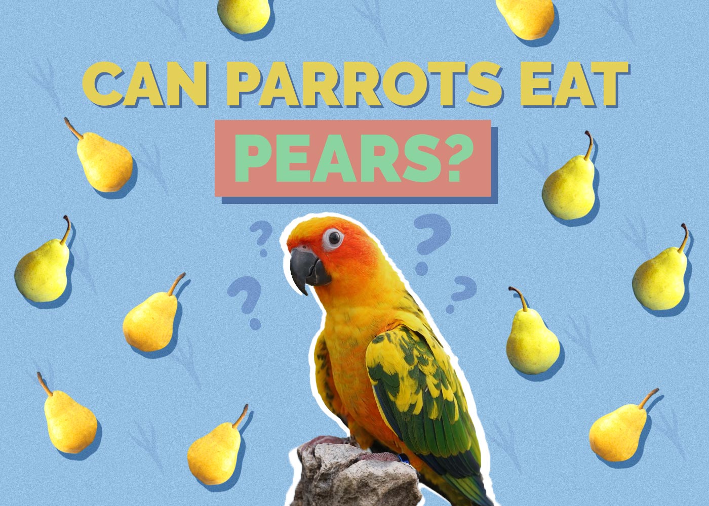 Can Parrots Eat Pears? Vet-Verified Nutrition Facts & FAQ