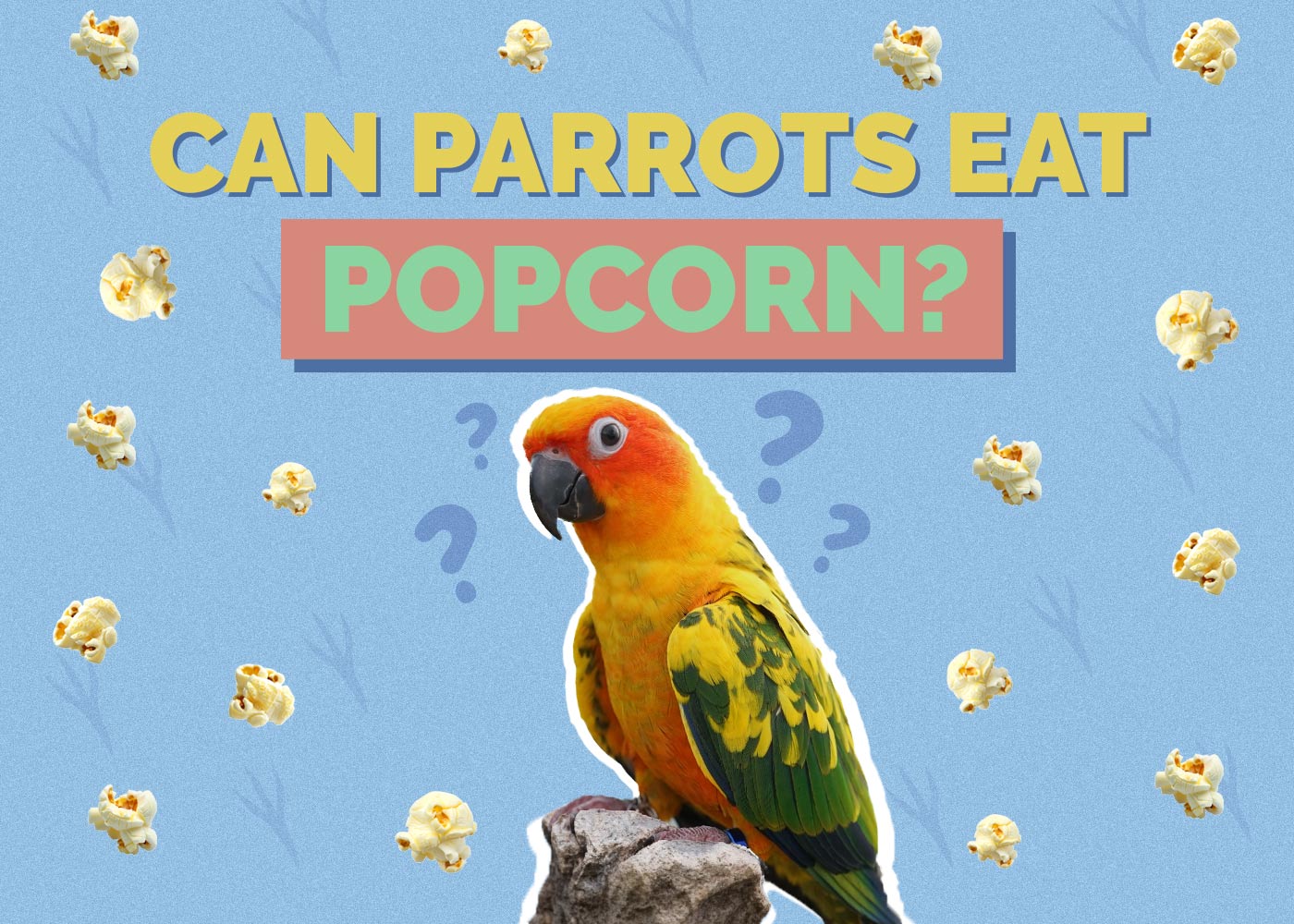 Can Parrots Eat Popcorn? Vet-Reviewed Health Considerations