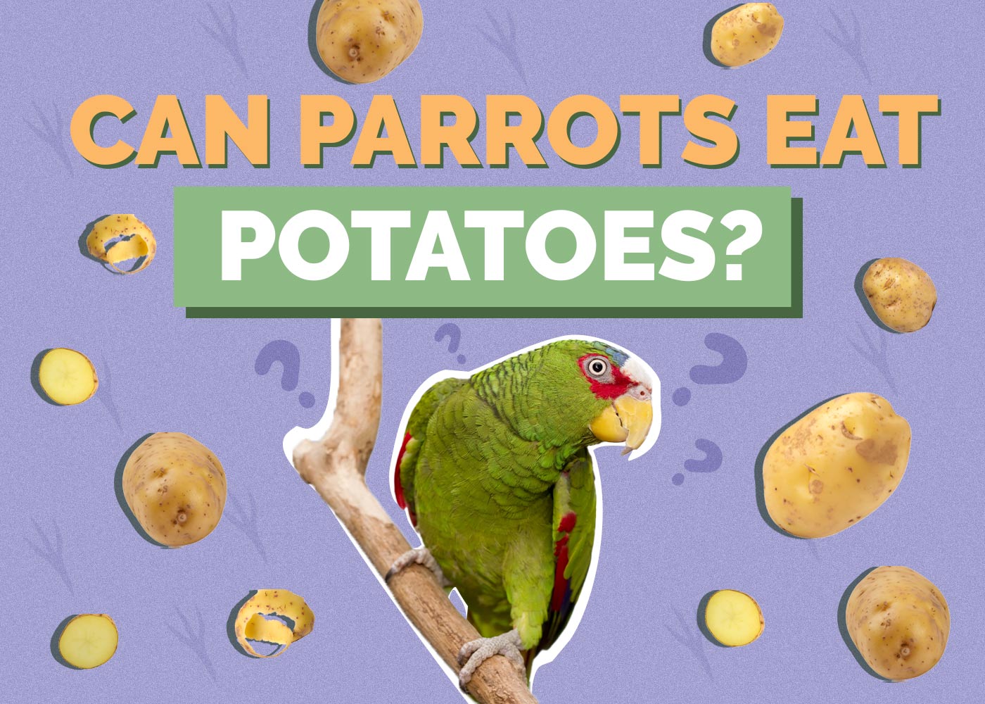 Can Parrots Eat Potatoes? Vet-Verified Nutrition Facts & FAQ