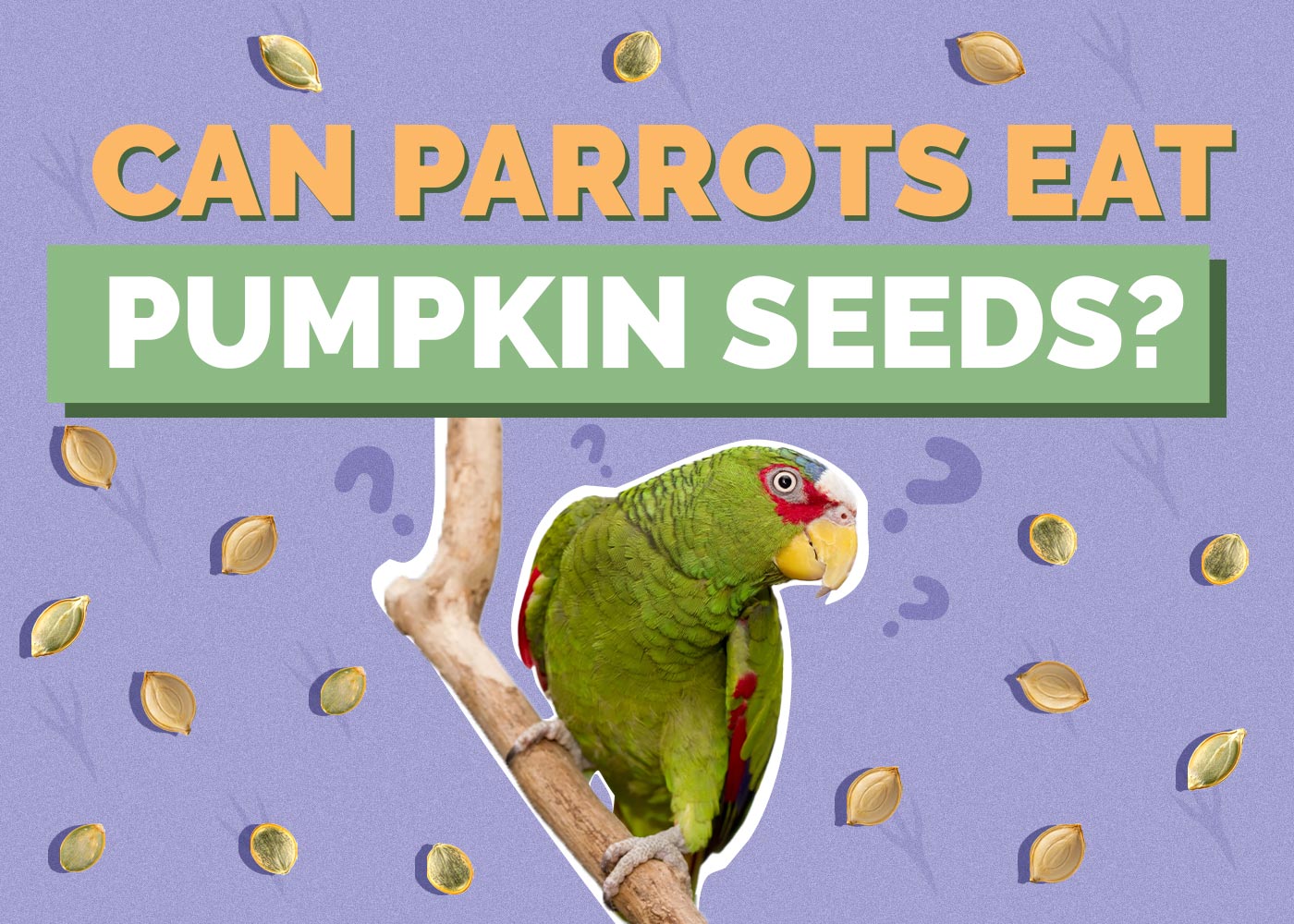 Can Parrots Eat Pumpkin Seeds? Vet-Verified Nutritional Facts & FAQ