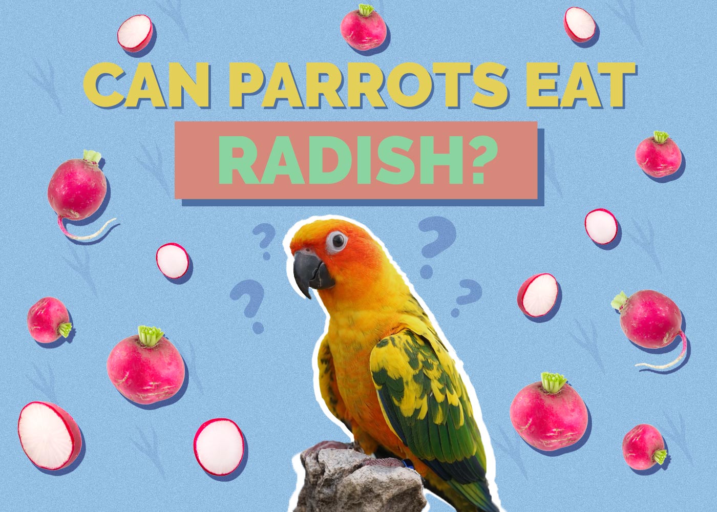 Can Parrots Eat Radishes? Vet-Approved Facts & FAQ