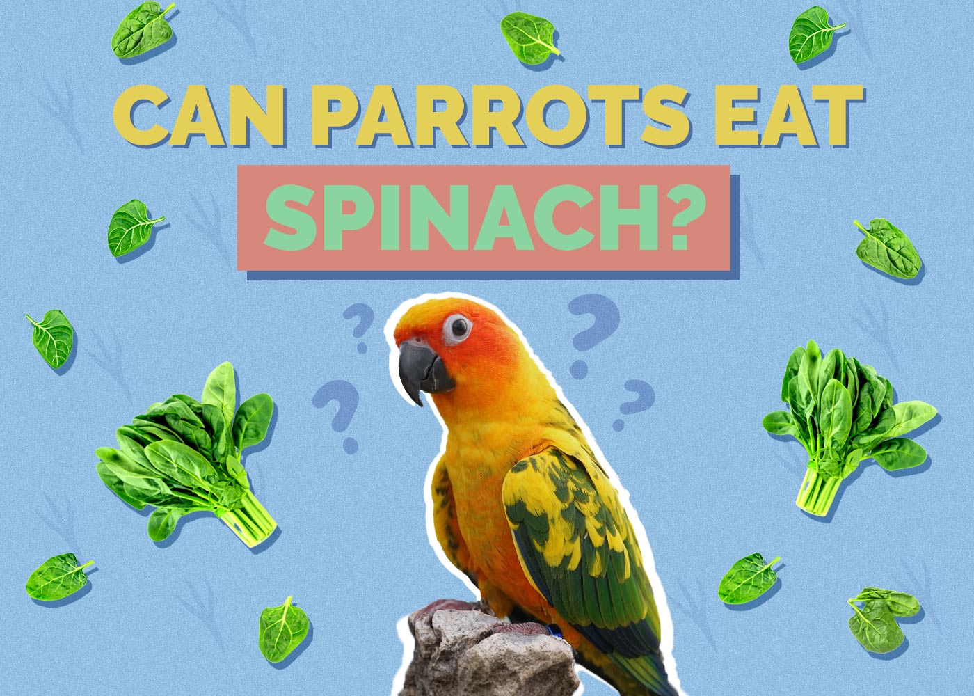Can Parrots Eat Spinach? Vet-Approved Facts & FAQ
