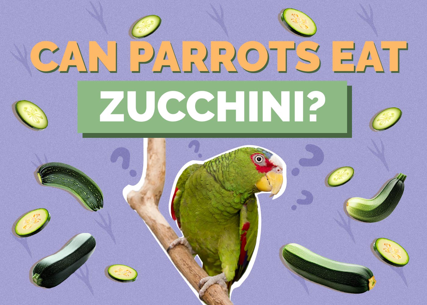 Can Parrots Eat Zucchini? Vet-Approved Nutrition Facts