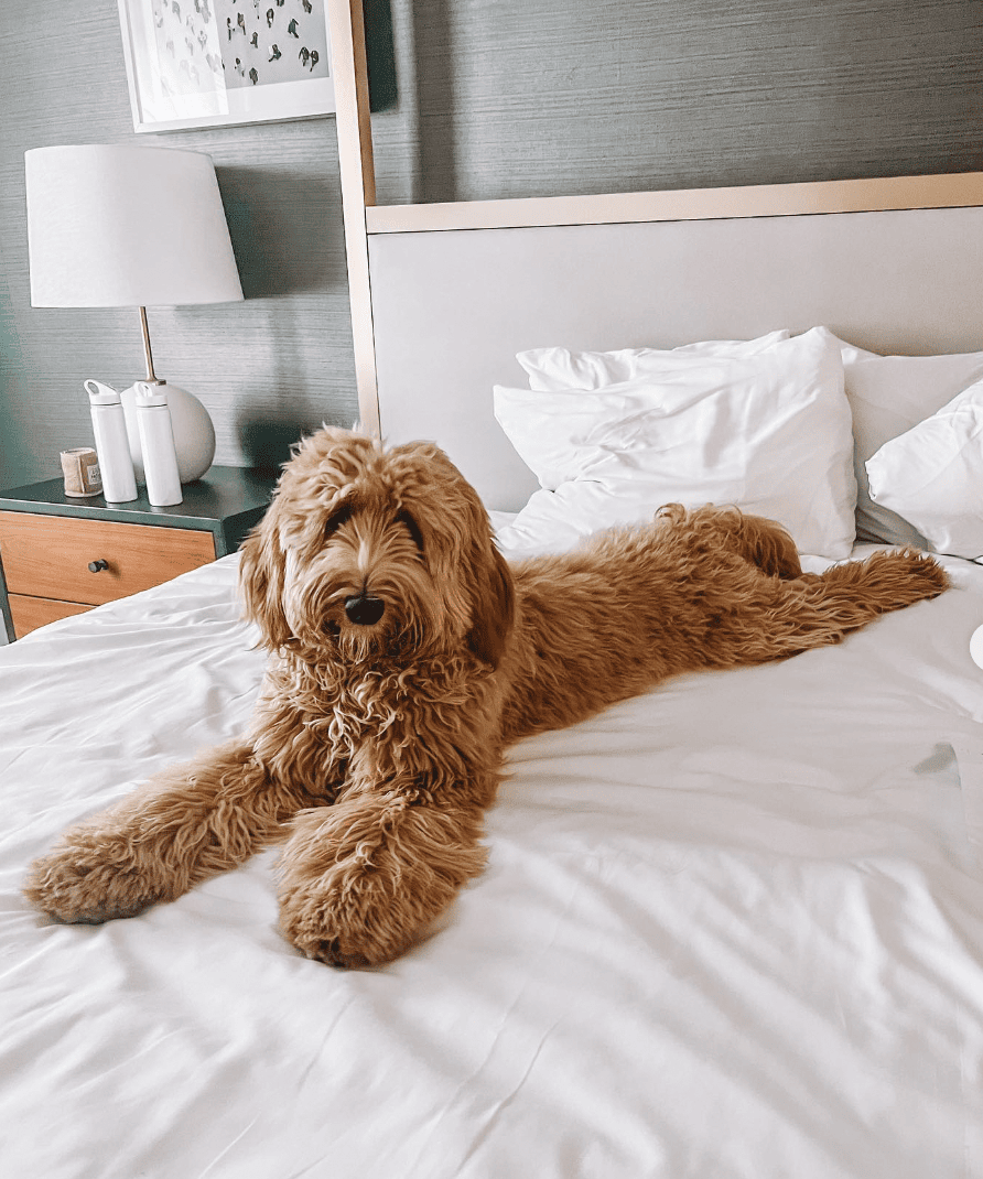 Kimpton Brice Hotel