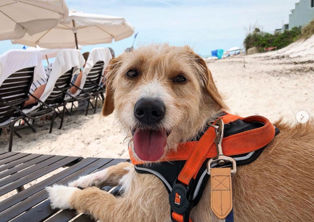 Kimpton Vero Beach Hotel & Spa, Florida