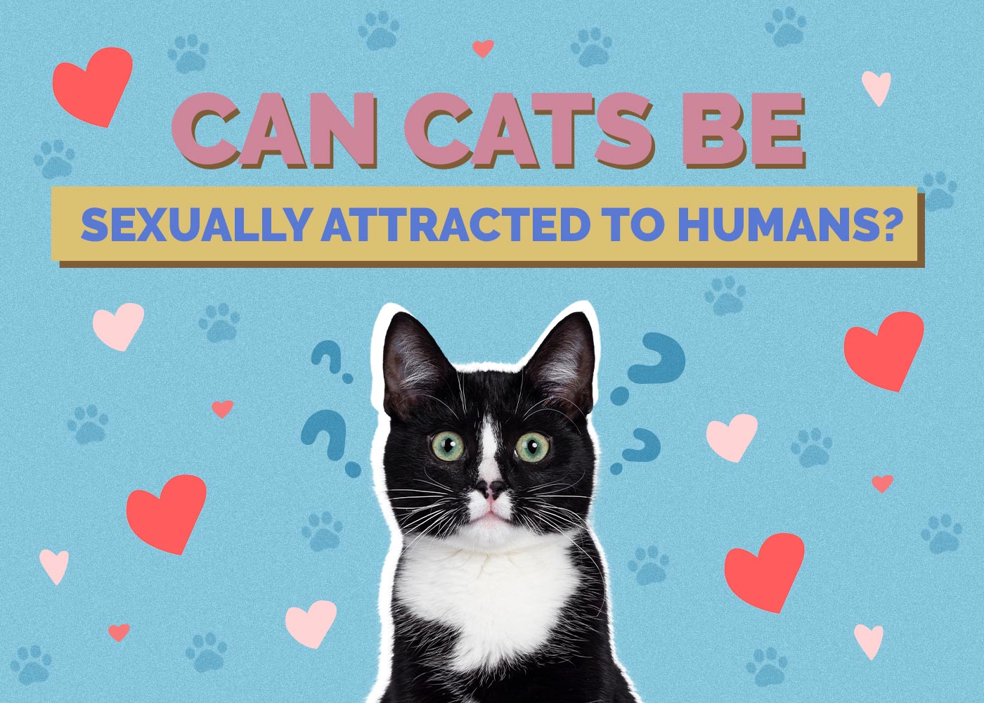 Can Cats Be Sexually Attracted to Humans? Facts & FAQ