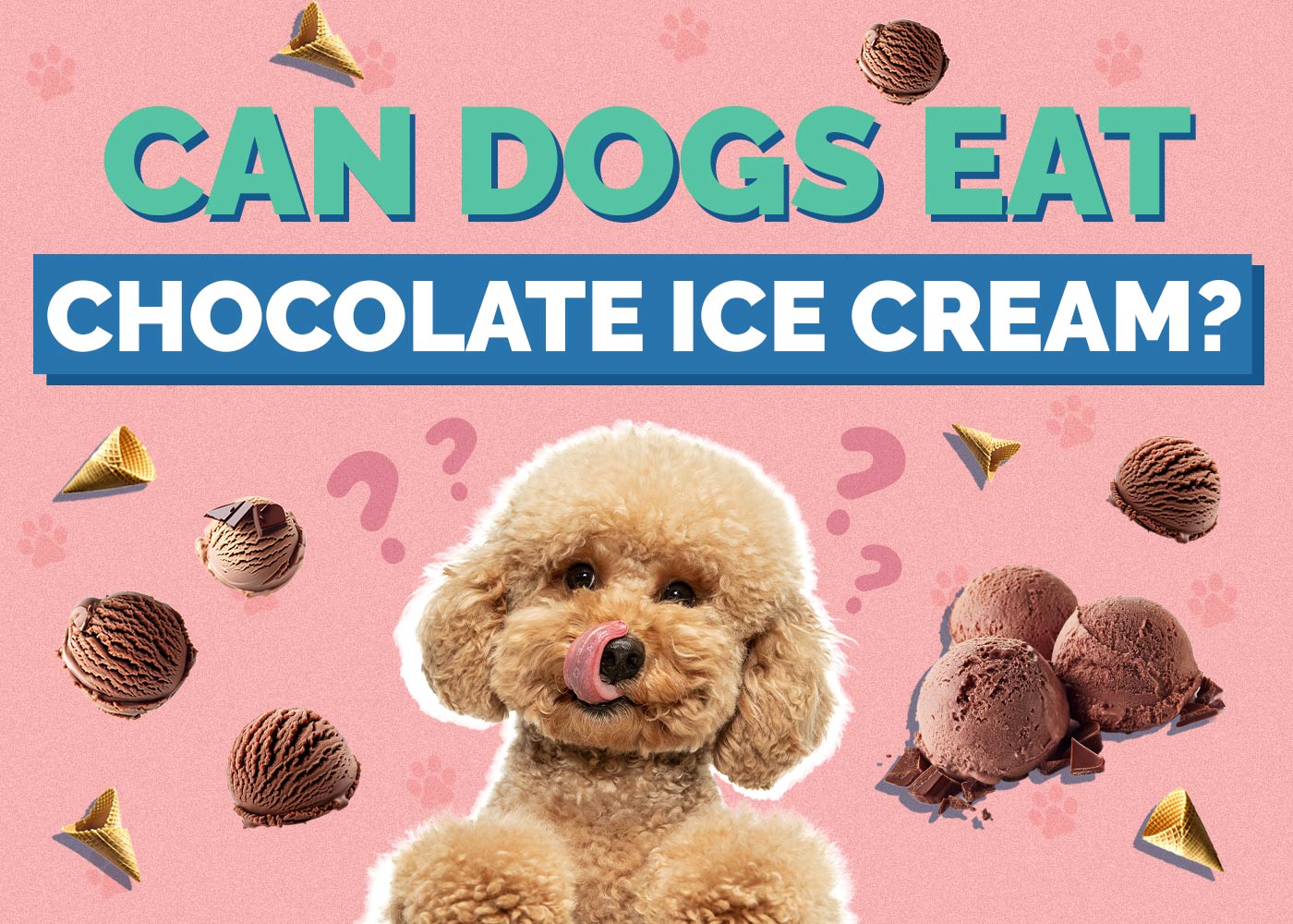 Can Dogs Eat Chocolate Ice Cream? Vet Approved Facts & FAQ