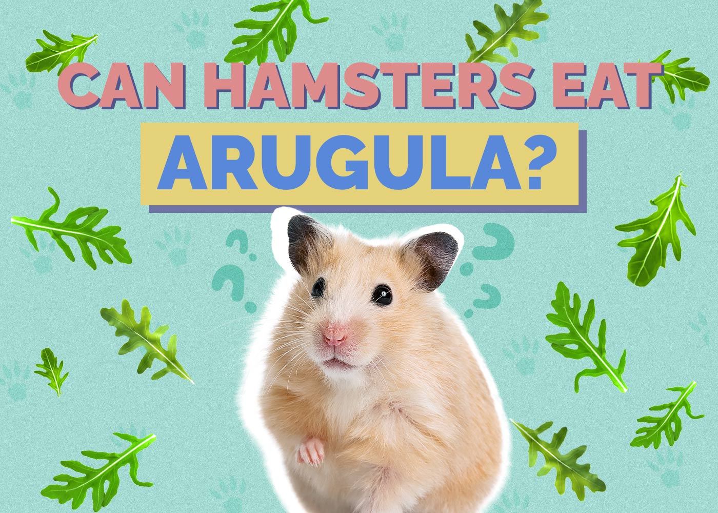 Can Hamsters Eat Arugula? Vet-Reviewed Facts & Safety Guide