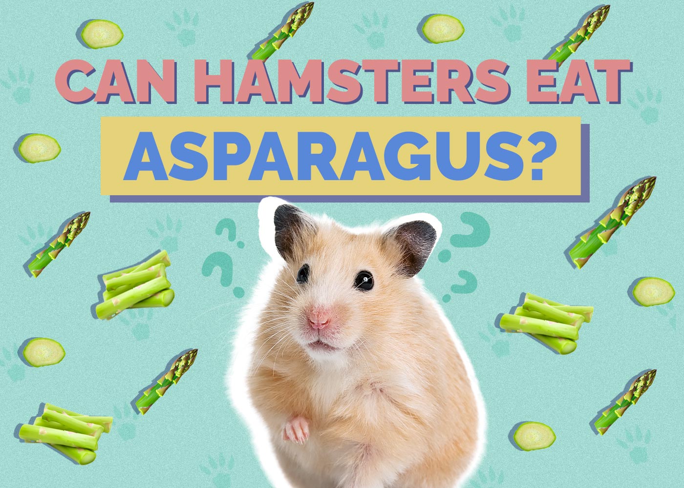 Can Hamsters Eat Asparagus? Vet-Approved Feeding Facts
