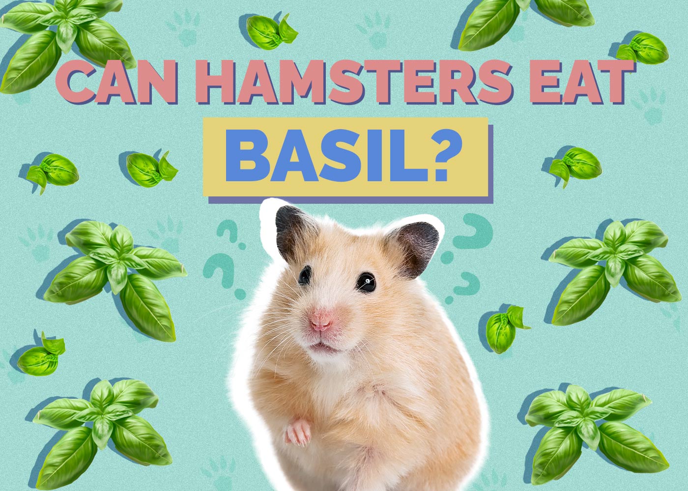 Can Hamsters Eat Basil? Vet-Reviewed Facts & FAQ