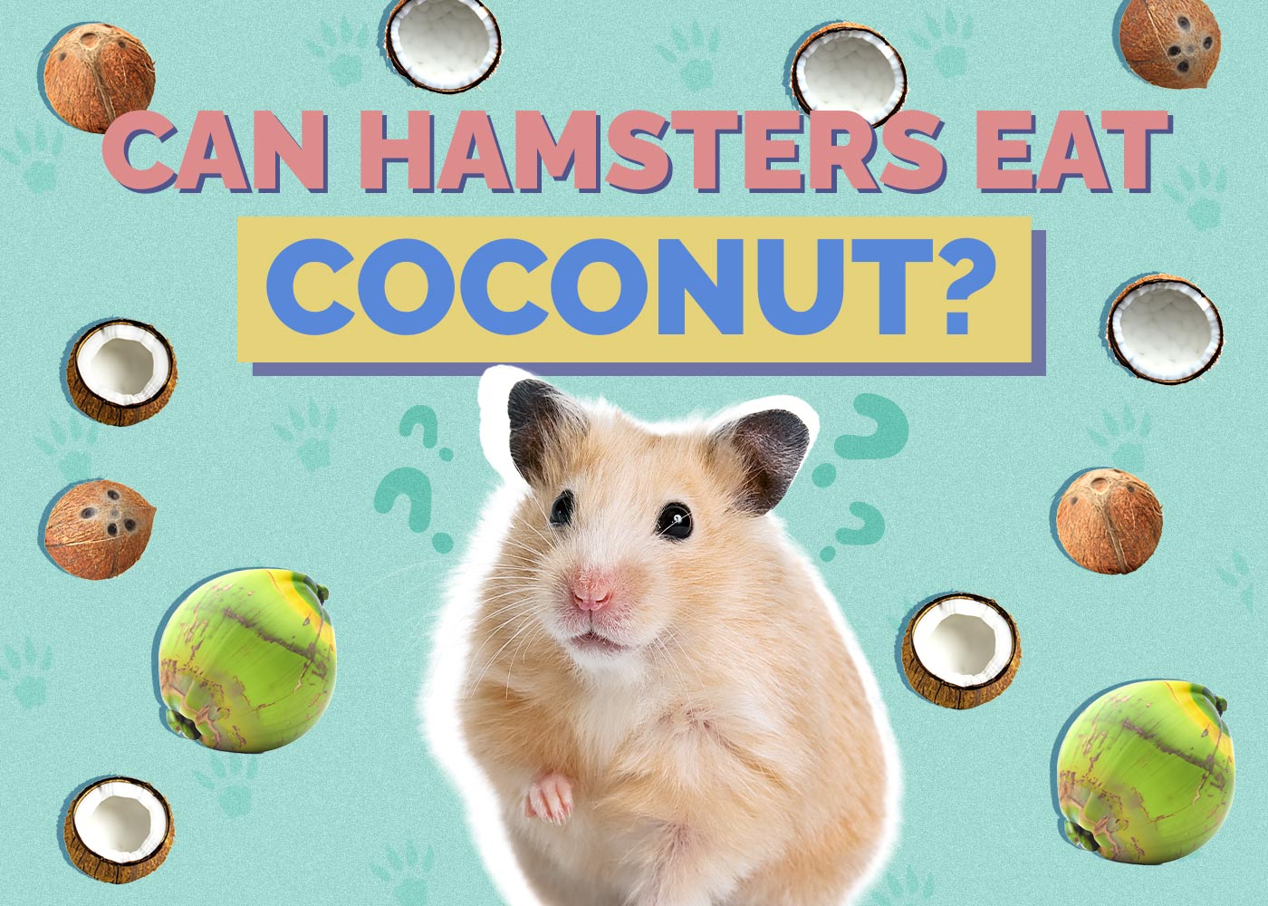 Can Hamsters Eat Coconut? Vet-Approved Health Facts