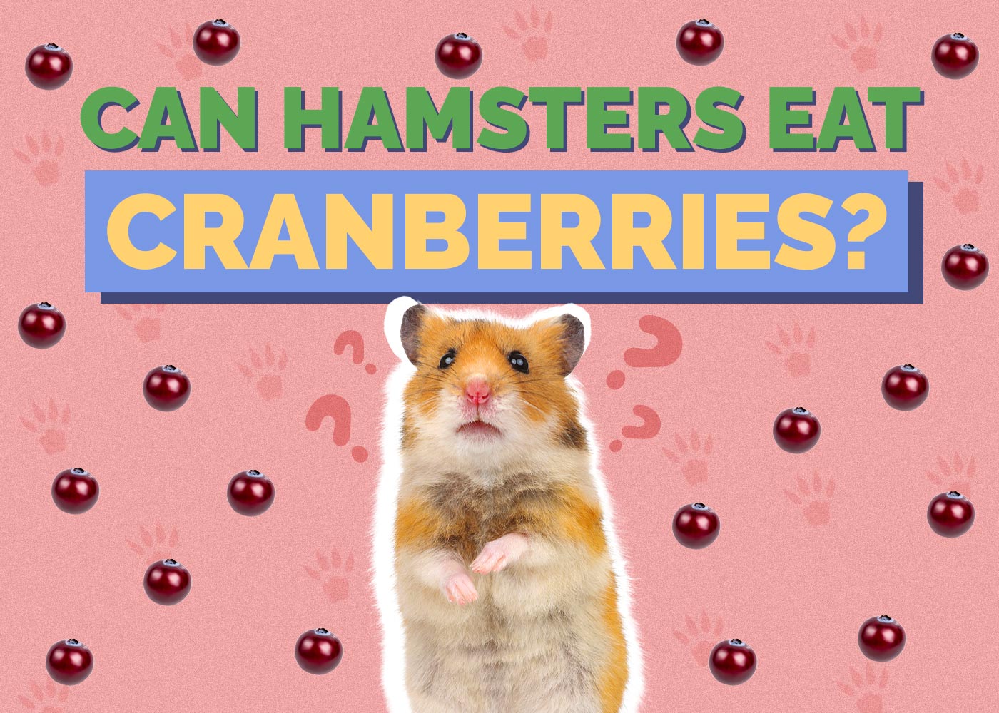 Can Hamsters Eat Cranberries? Vet Reviewed Facts & FAQ