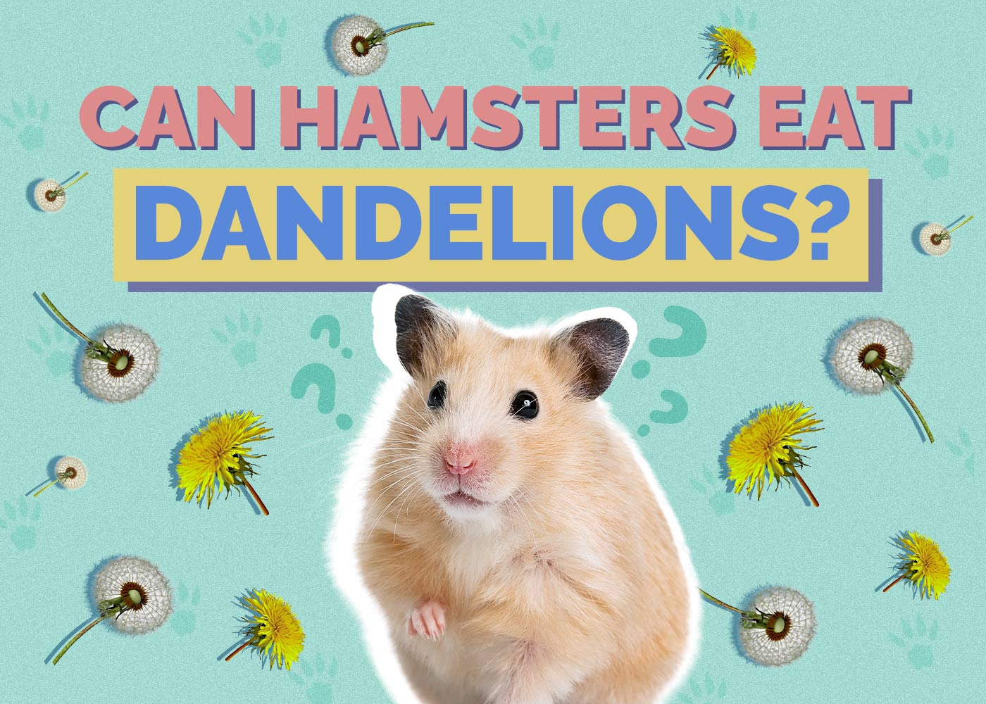 Can Hamsters Eat Dandelions? Vet-Verified Facts & FAQ