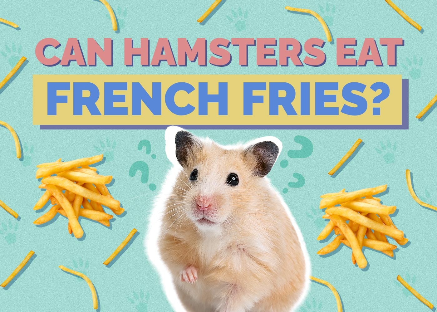 Can Hamsters Eat French Fries? Vet Approved Facts & FAQ