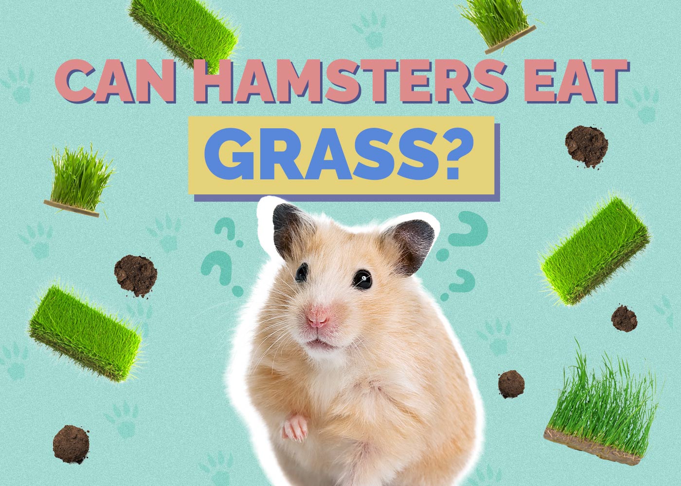 Can Hamsters Eat Grass? Vet Reviewed Nutrition Facts