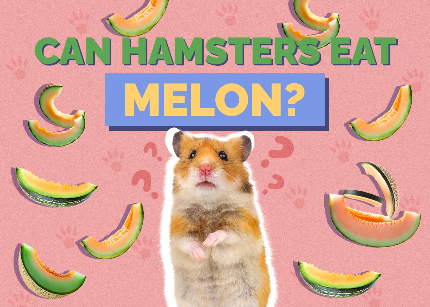 Can Hamsters Eat Melon? Vet Approved Facts & Safety Guide