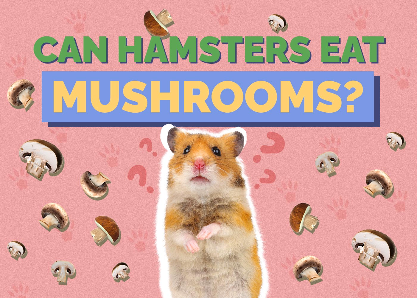 Can Hamsters Eat Mushrooms? Vet-Reviewed Nutrition Facts