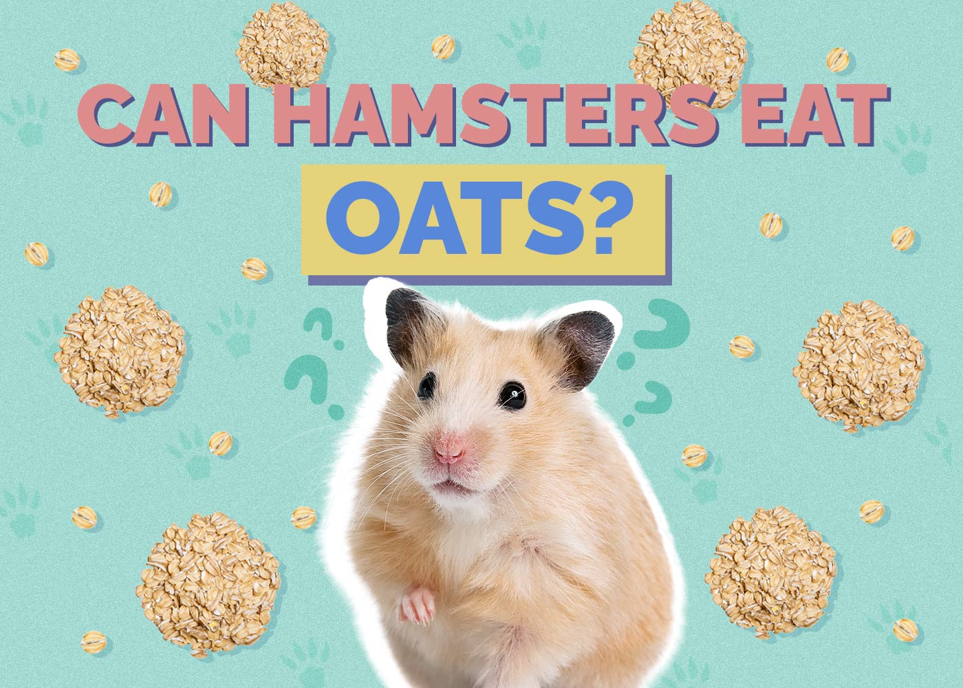 Can Hamsters Eat Oats? Vet-Reviewed Facts & FAQ