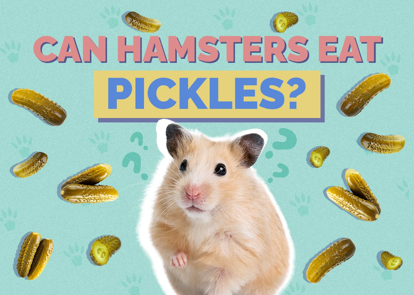 Can Hamsters Eat Pickles
