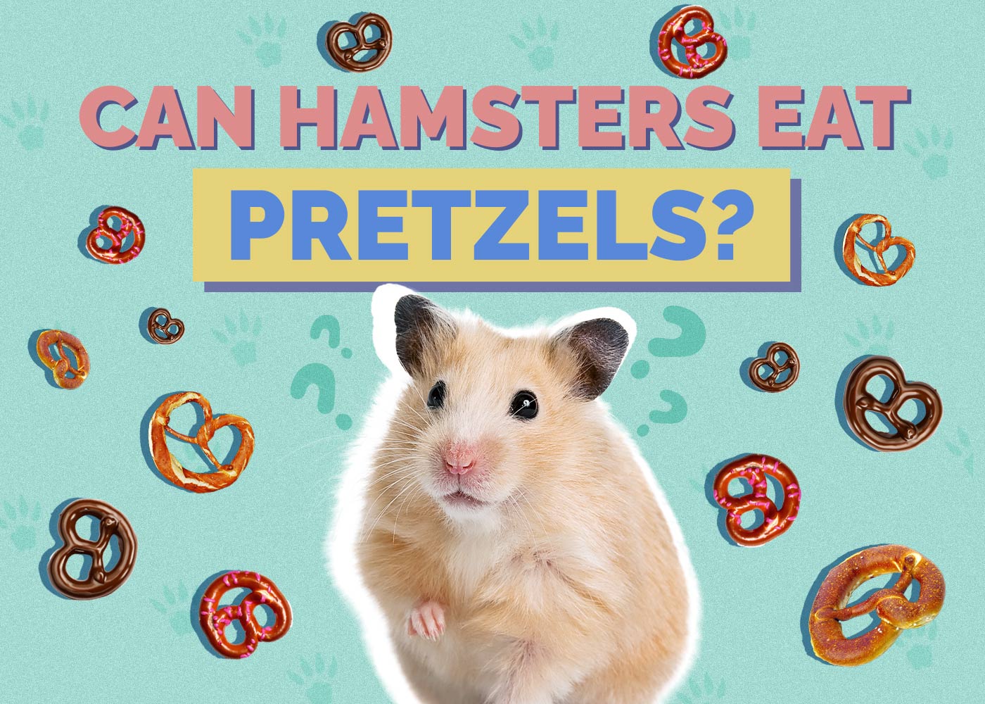 Can Hamsters Eat Pretzels? Vet Approved Facts & FAQ