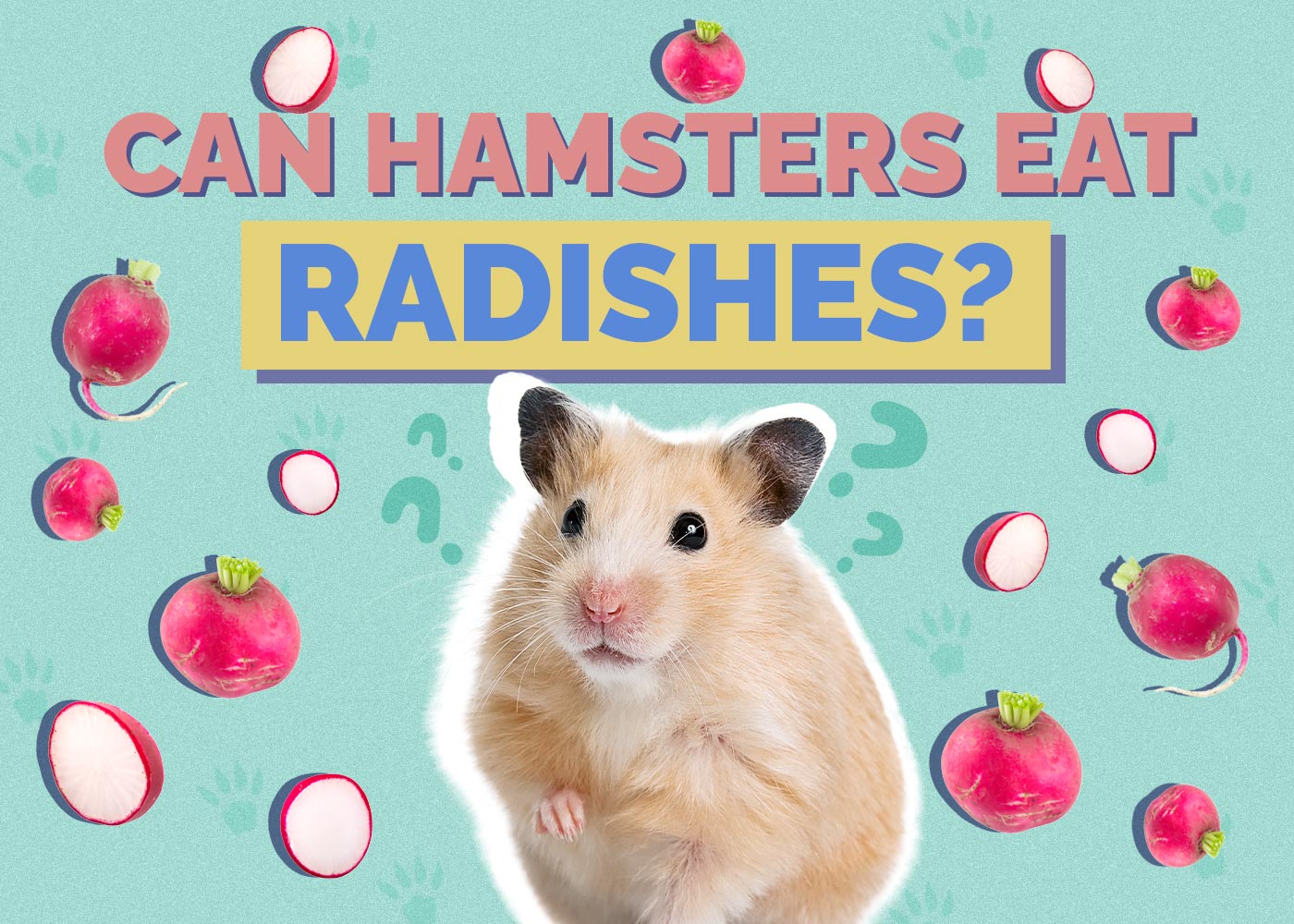 Can Hamsters Eat Radishes? Vet-Approved Facts & FAQ
