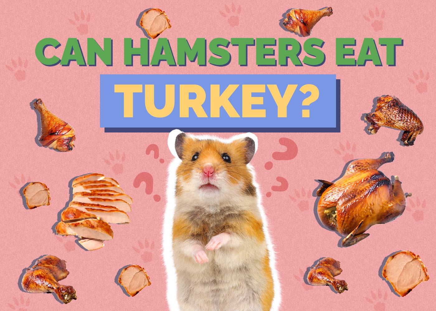 Can Hamsters Eat Turkey? Vet Approved Facts & Nutrition Guide