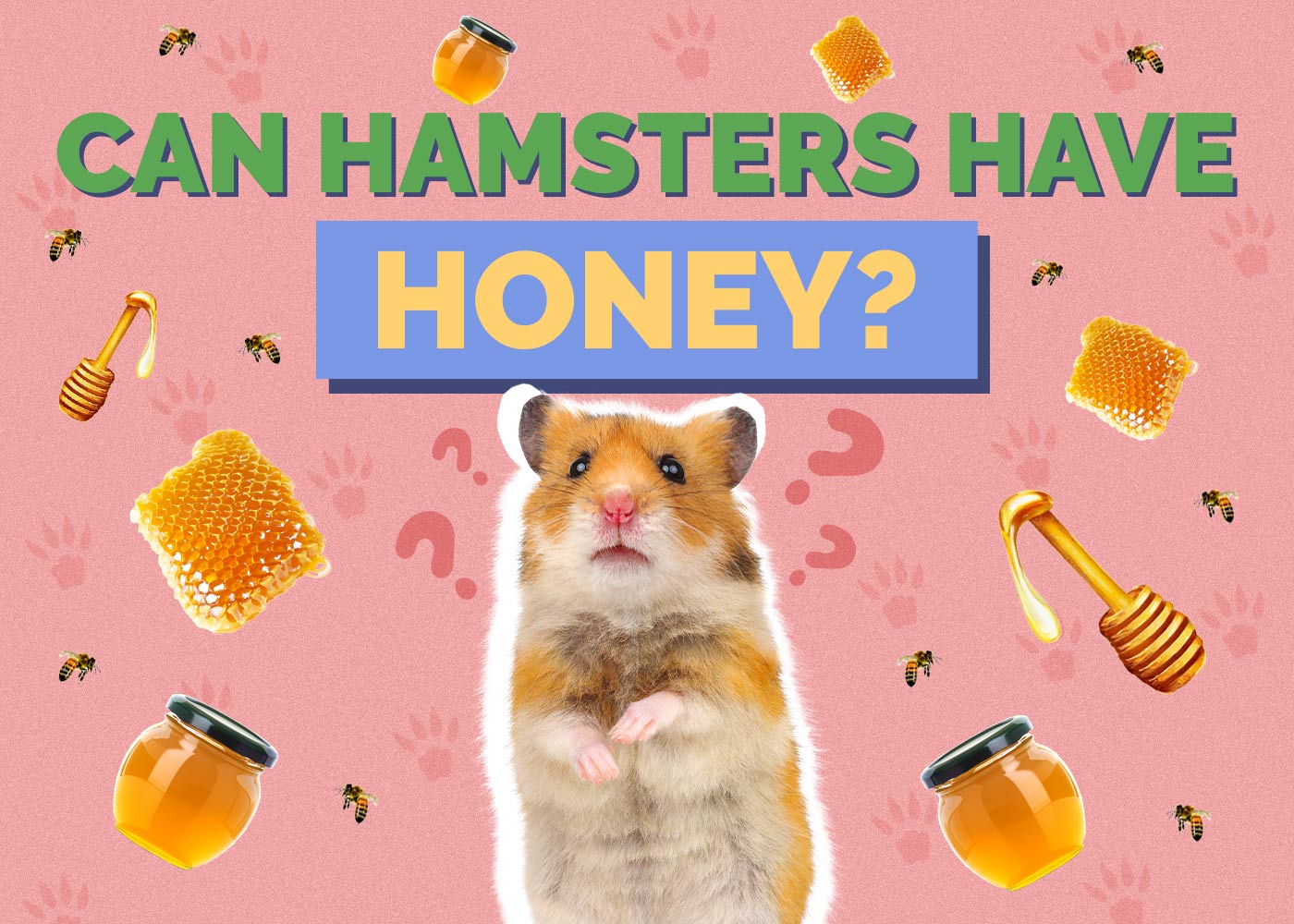 Can Hamsters Have Honey? Vet Approved Facts & FAQ