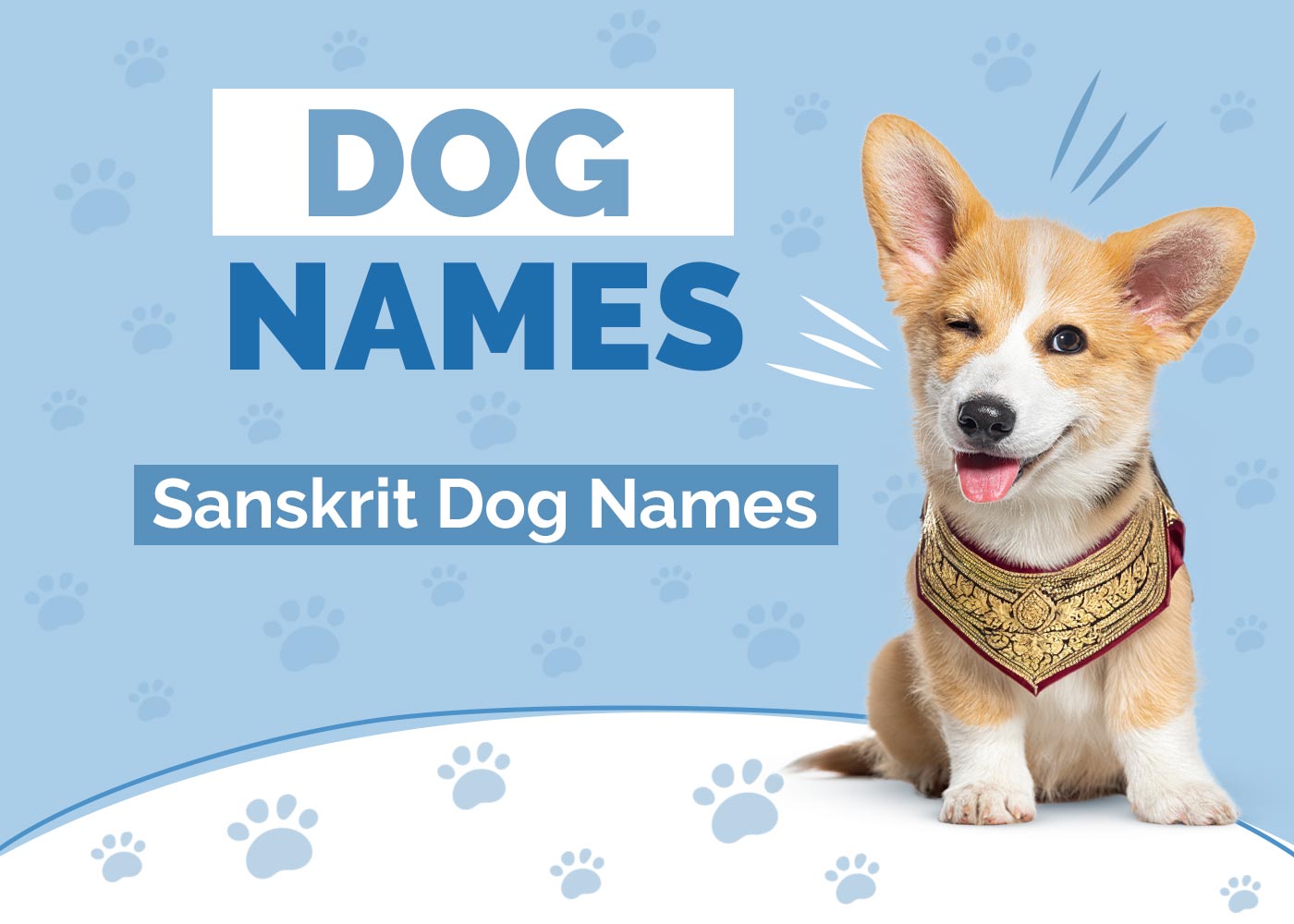 100+ Sanskrit Dog Names With Meanings