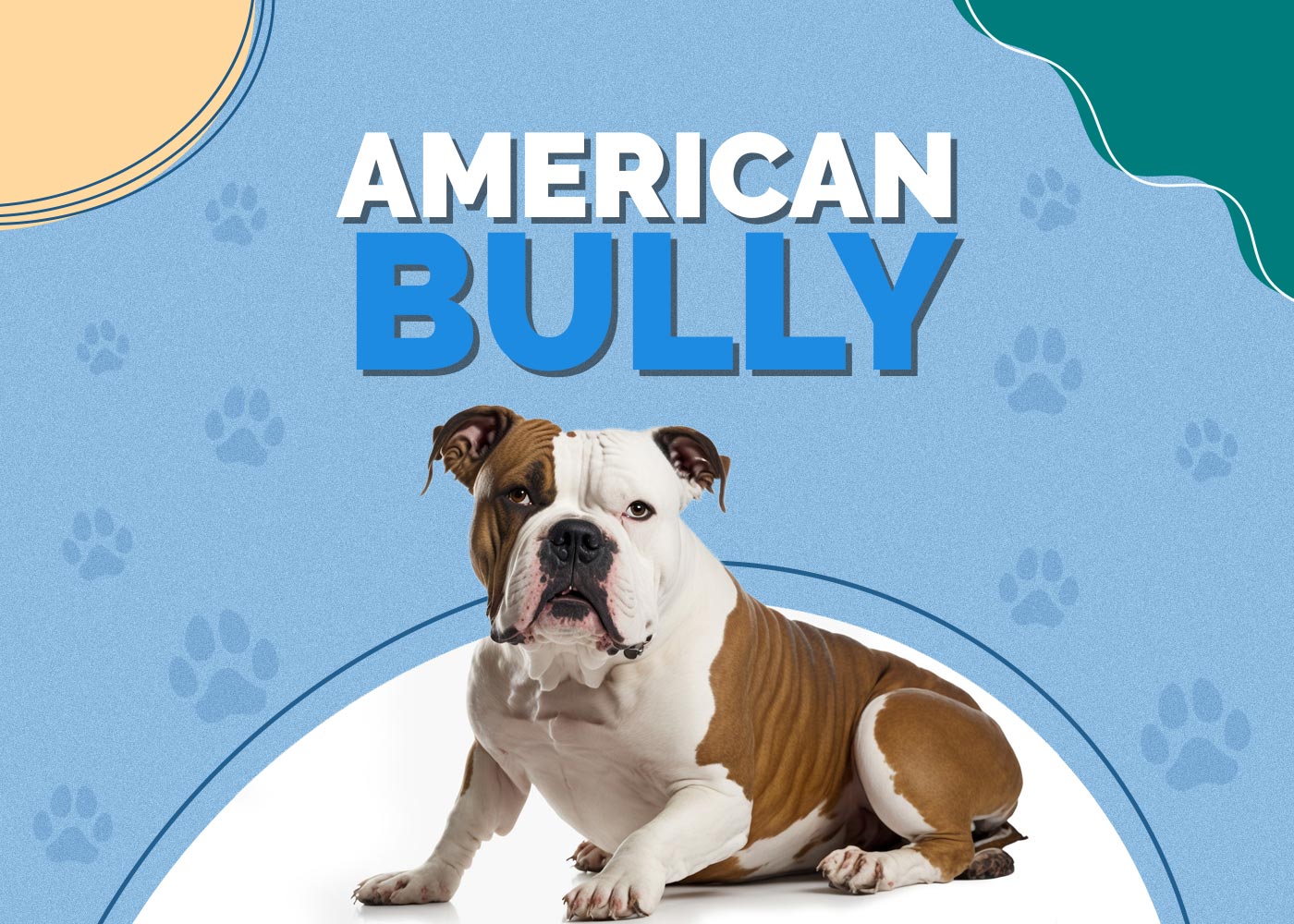 American Bully Dog: Breed Info, Pictures, Traits, Facts