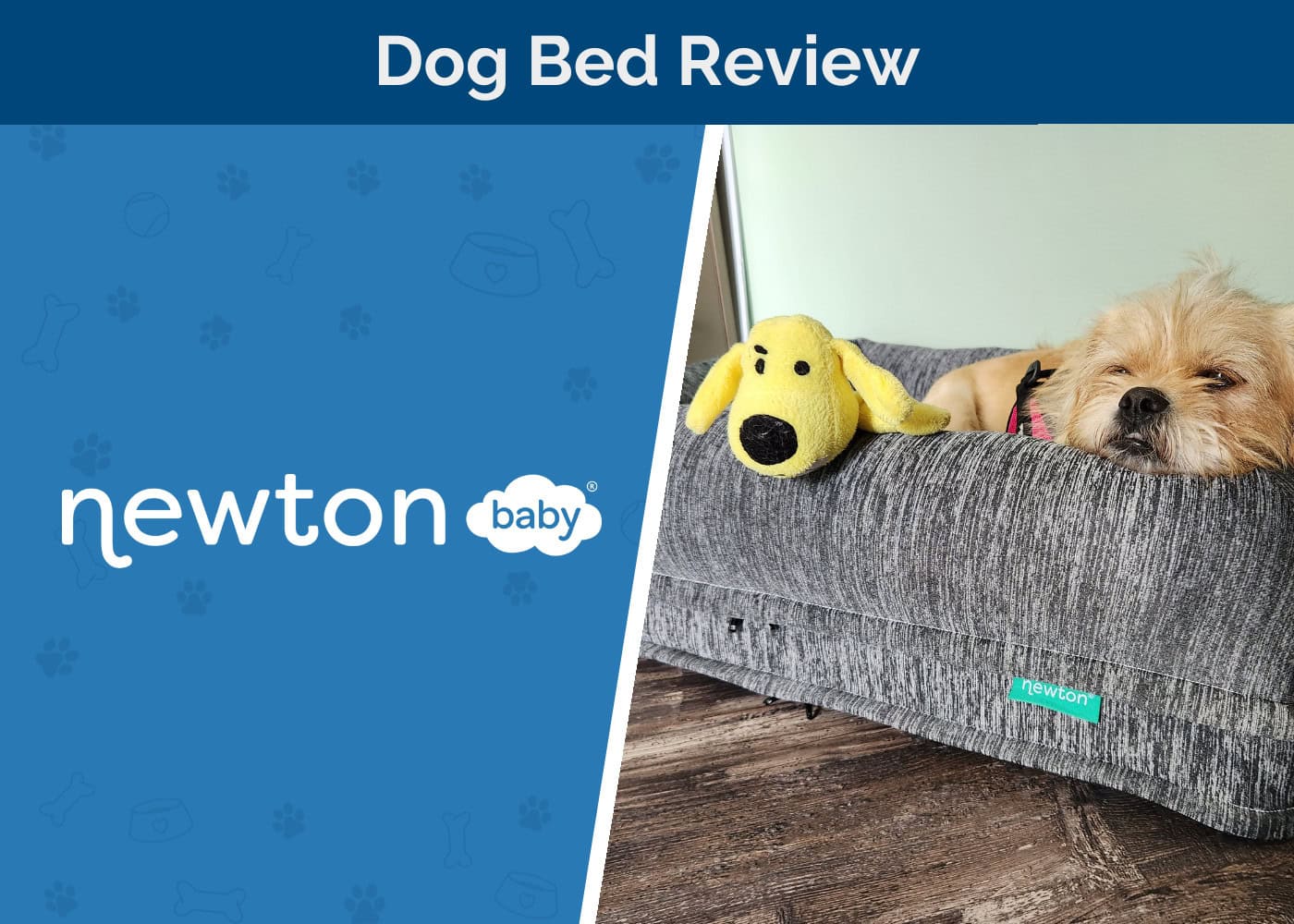 Newton Baby Orthopedic Pet Bed Review 2026: Our Expert’s Opinion