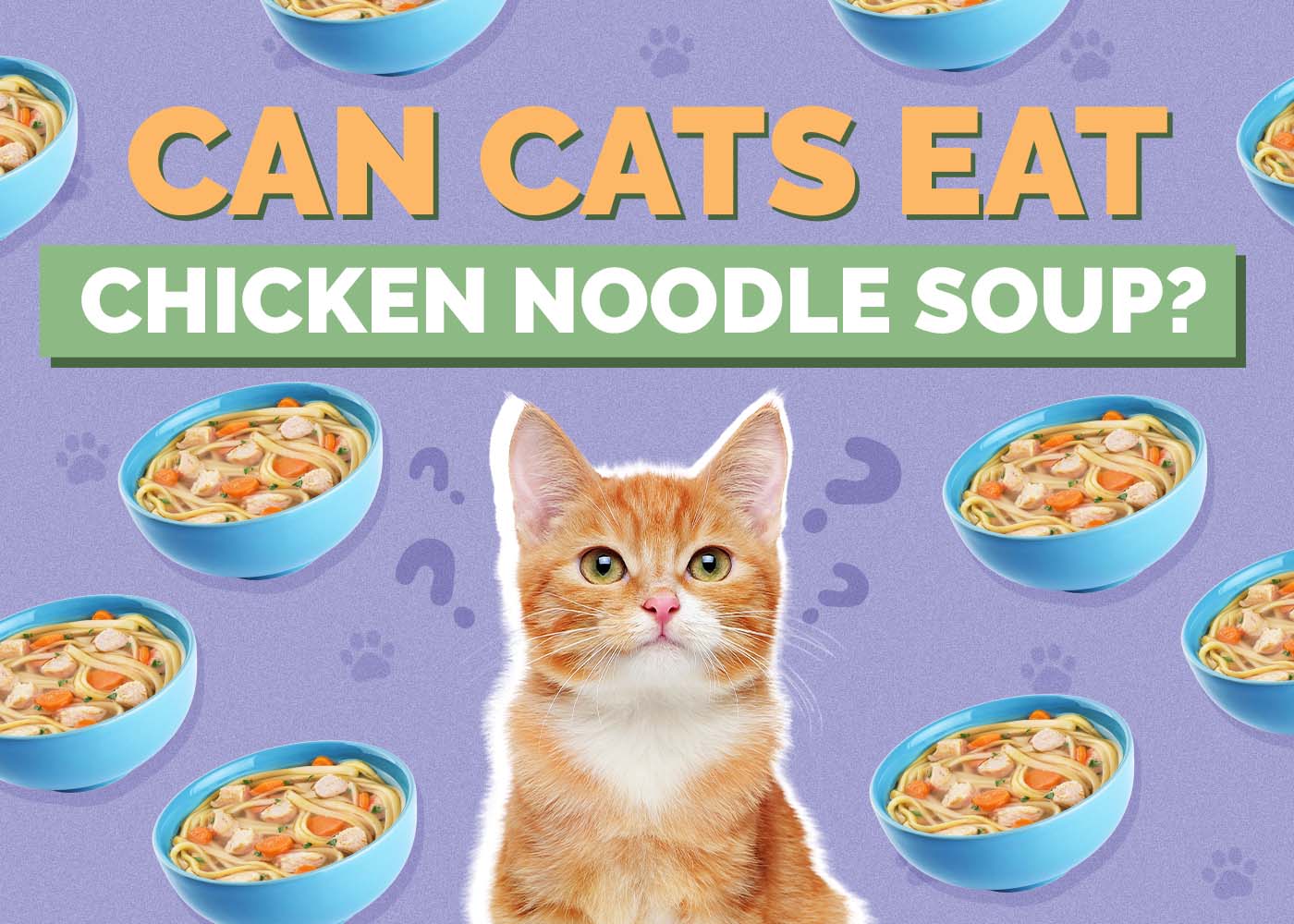 Can Cats Eat Chicken Noodle Soup? Vet-Verified Facts & FAQ