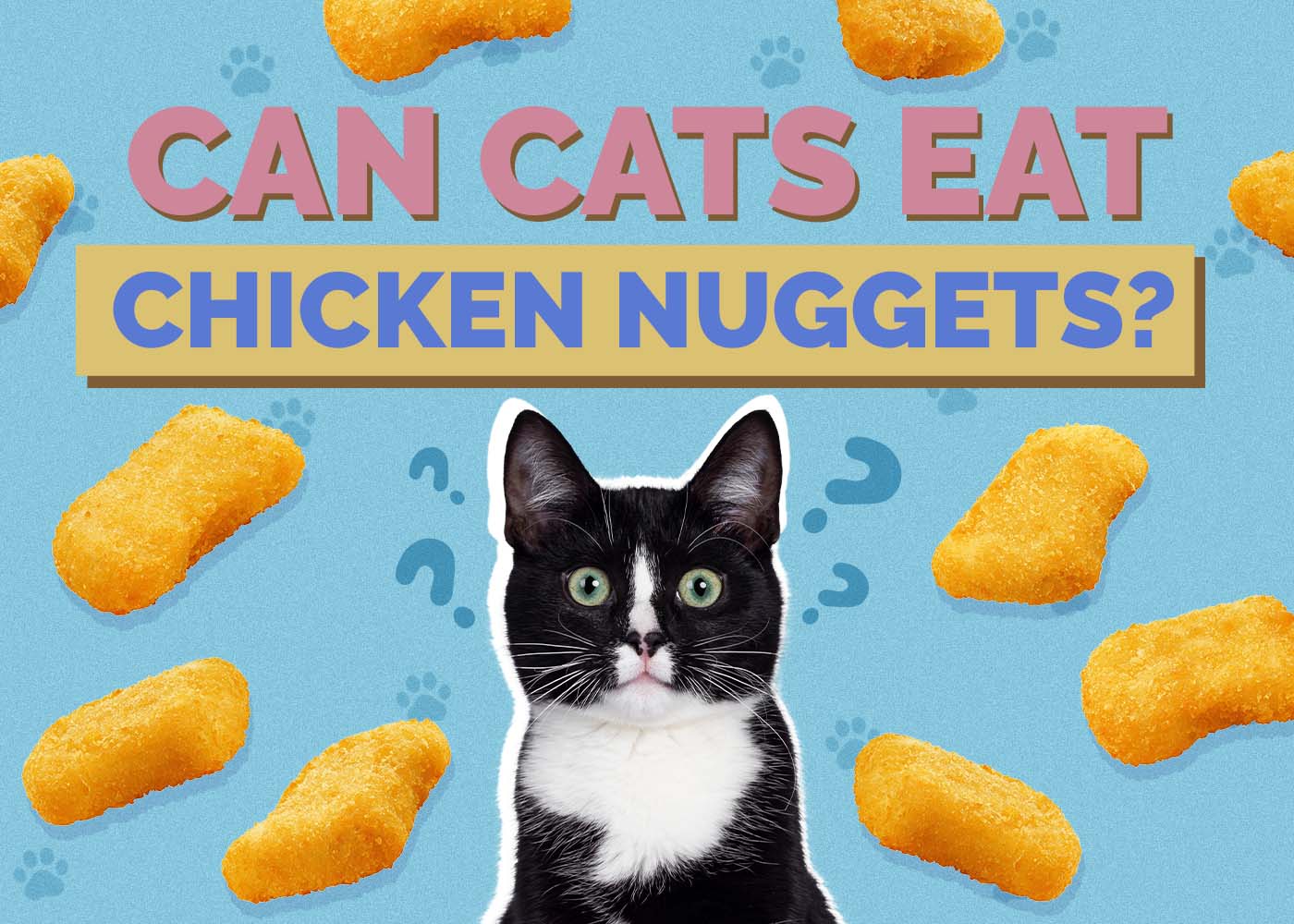 Can Cats Eat Chicken Nuggets? Vet-Approved Facts & FAQ