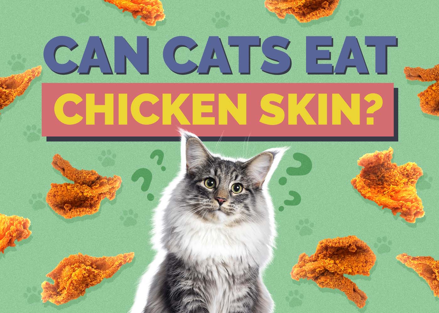 Can Cats Eat Chicken Skin? Vet-Approved Facts & FAQ