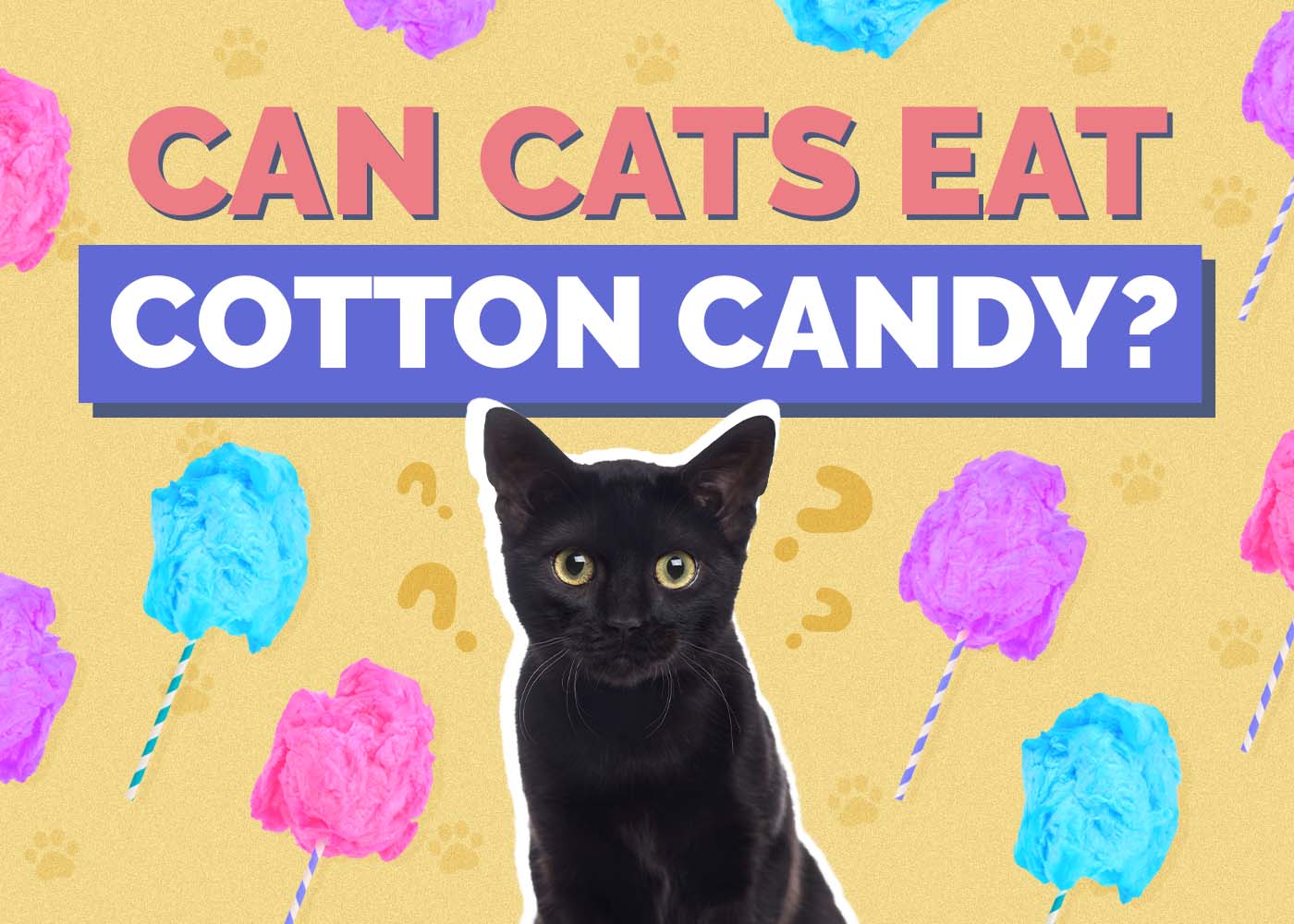 Can Cats Eat Cotton Candy? Vet Approved Facts & Risks
