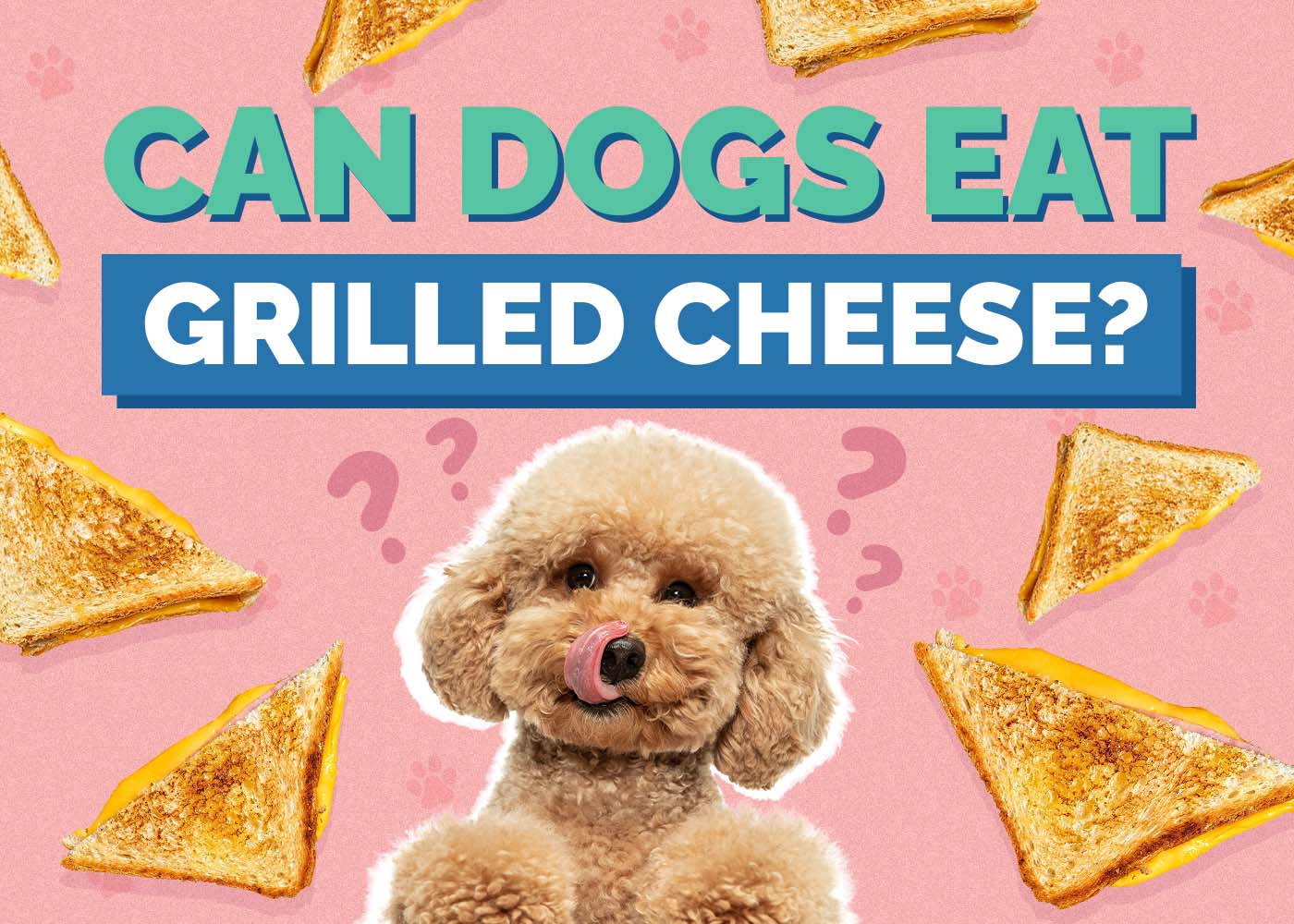 Can Dogs Eat Grilled Cheese? Vet-Verified Health Concerns