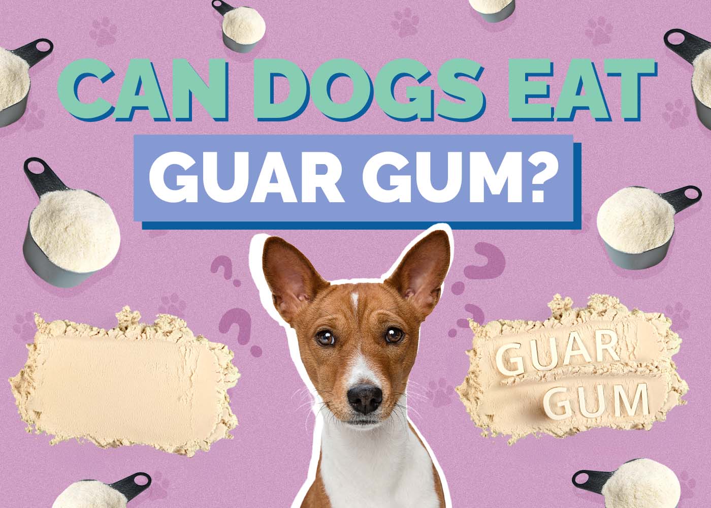 Can Dogs Eat Guar Gum? Vet-Approved Nutrition Facts