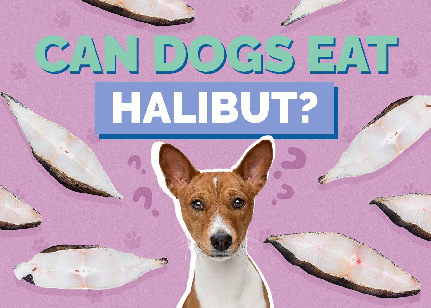 Can Dogs Eat Halibut? Vet-Reviewed Nutrition Facts
