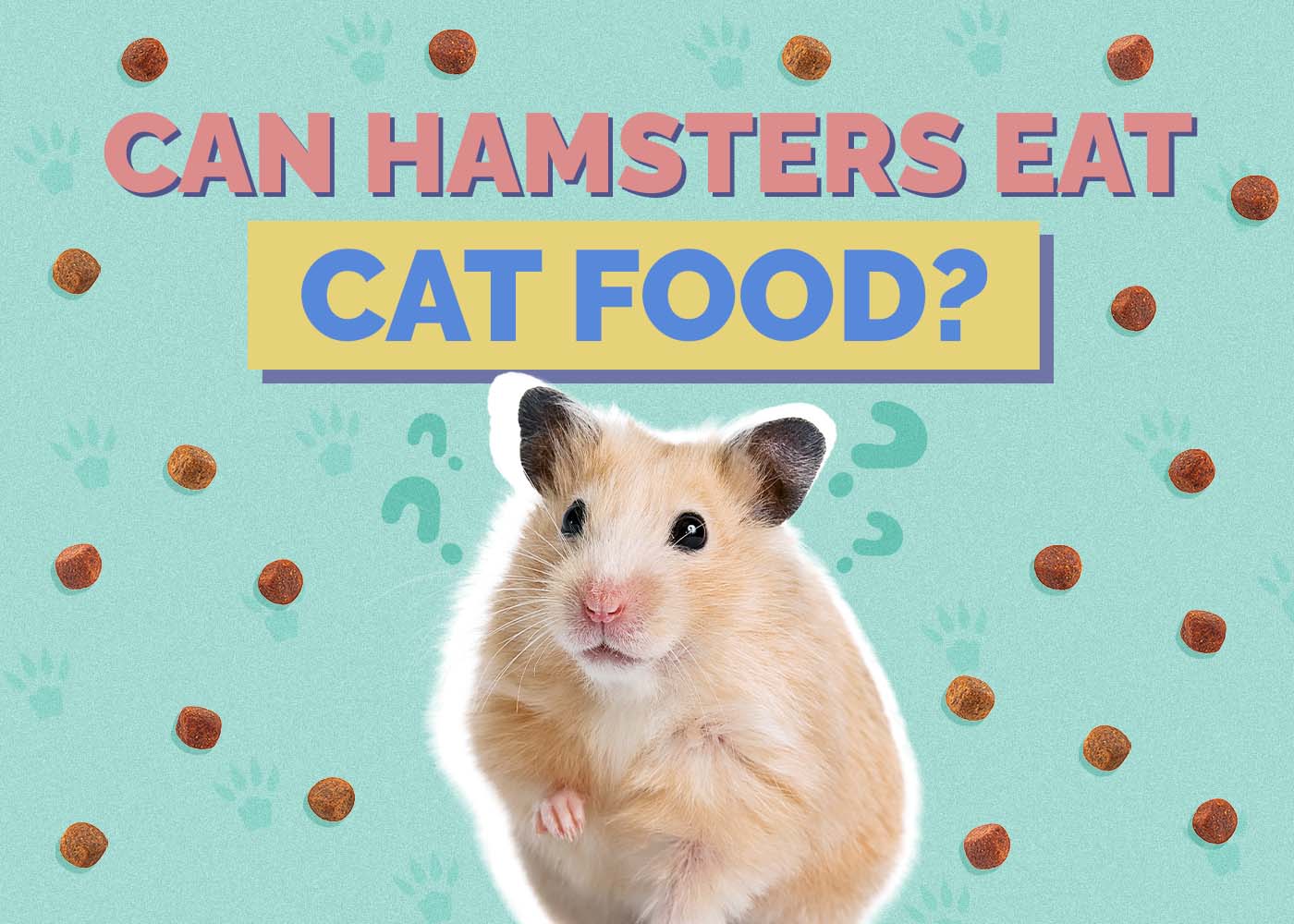 Can Hamsters Eat Cat Food? Vet-Approved Nutrition Guide